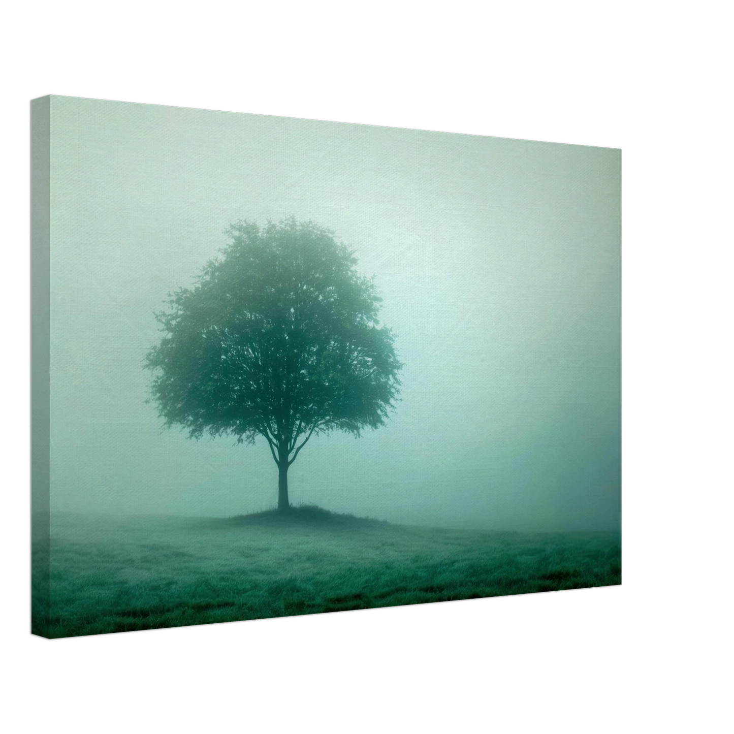 Wandbild mystischer baum im nebel ruhe und gruentoene fuer dein zuhause