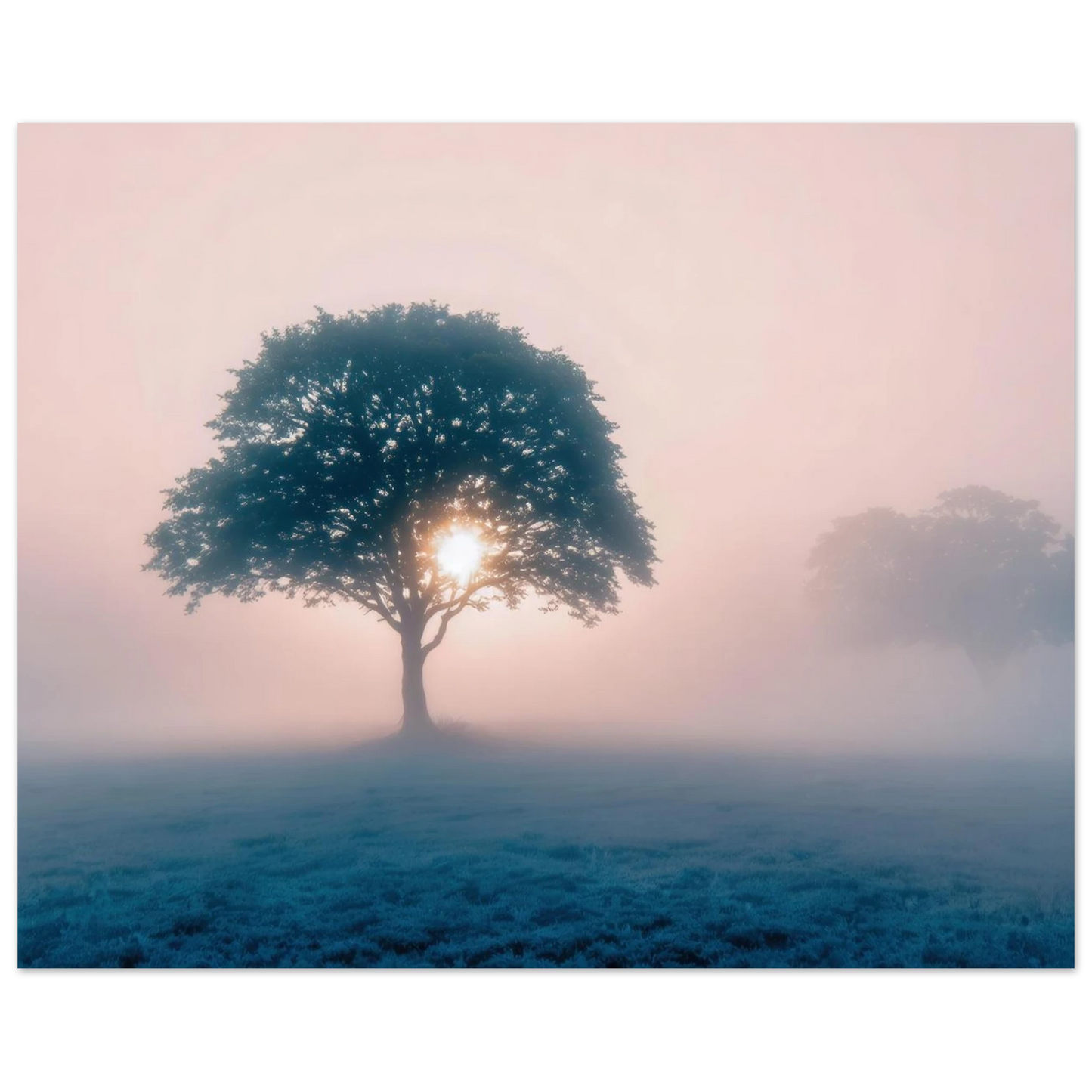 Wandbild mystischer morgendaemmerung baum traumhaftes landschaftsbild fuer ihre wohlfuehloase