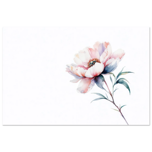 Wandbild zarte pfingstrose elegante aquarell kunst fuer ihr zuhause in wunschgroesse