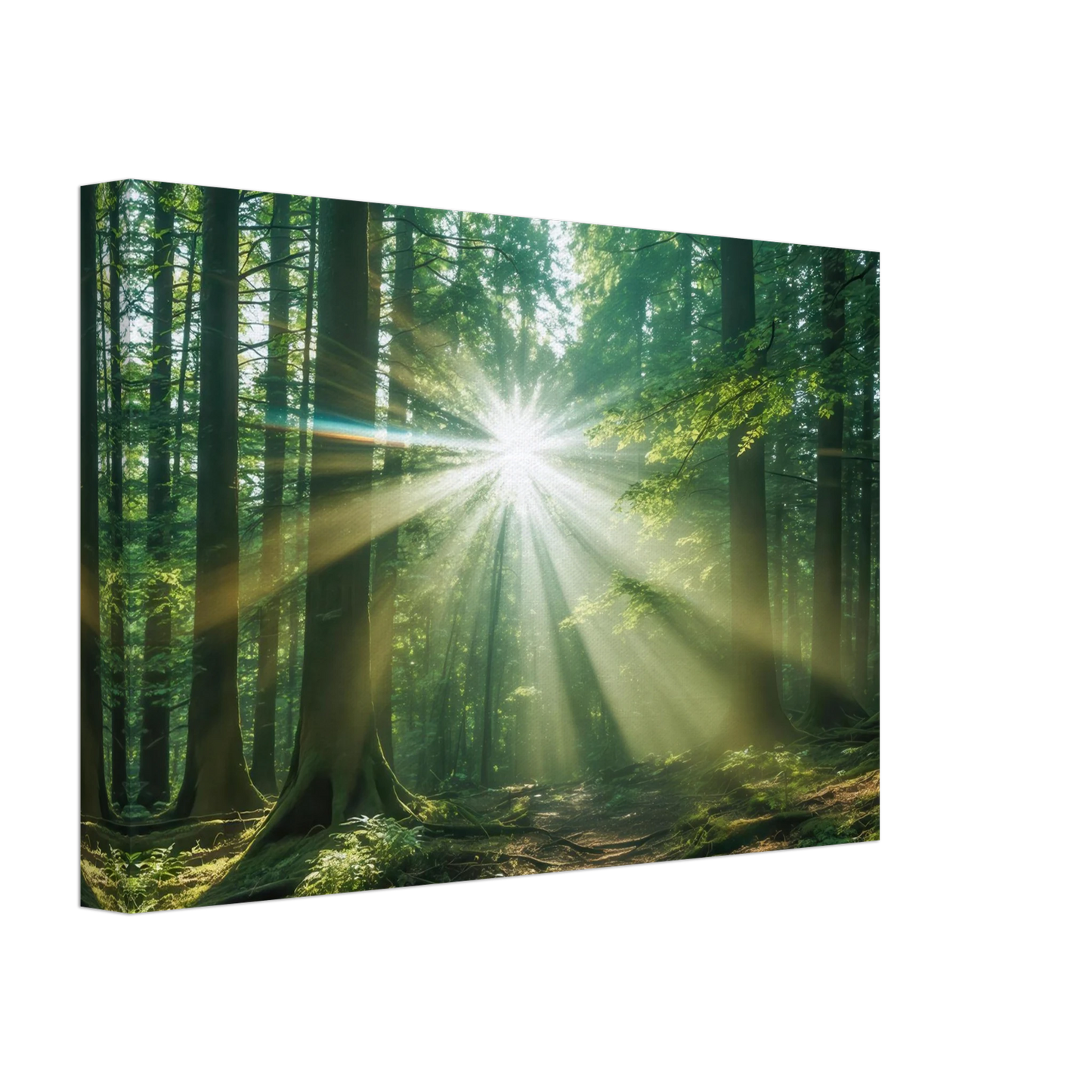 Wandbild sonnenstrahlen im wald mystisches waldlicht kunstdruck in ihrer wunschgroesse