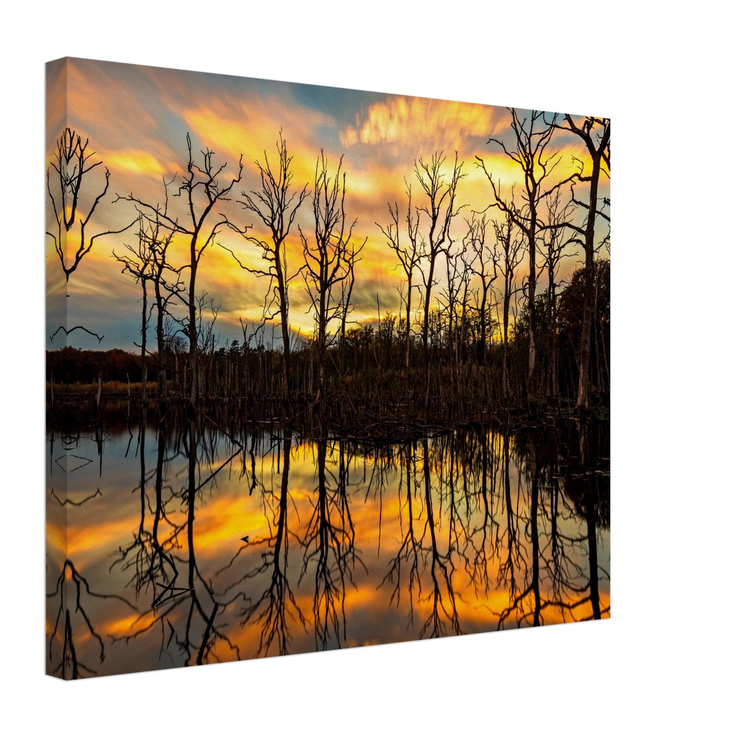 Wandbild mystischer sonnenuntergang ueber dem baumsee lebendige kunstdrucke in vielen groessen
