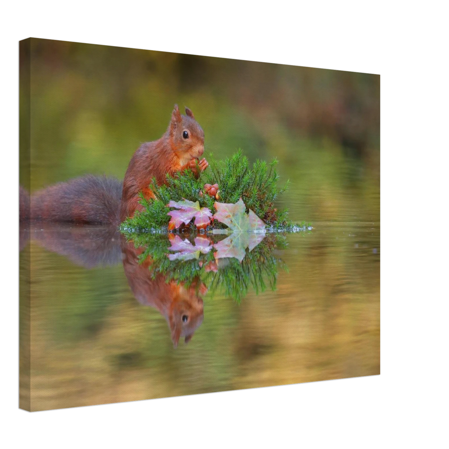 Wandbild bezauberndes eichhoernchen im herbstwald lebendige wildtierkunst fuer ihr zuhause in vielen groessen