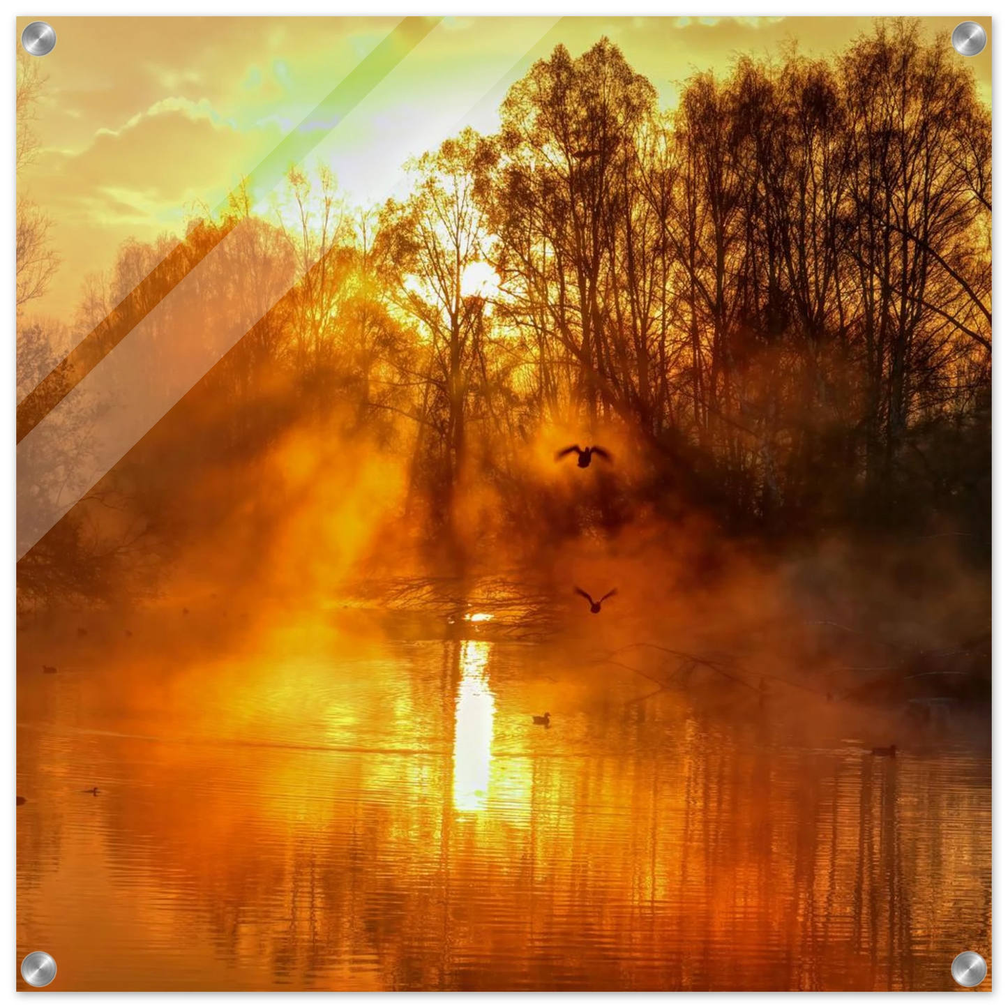 Wandbild Goldene morgenroete wandbild nebelwald poster in 25 groessenausfuehrungen
