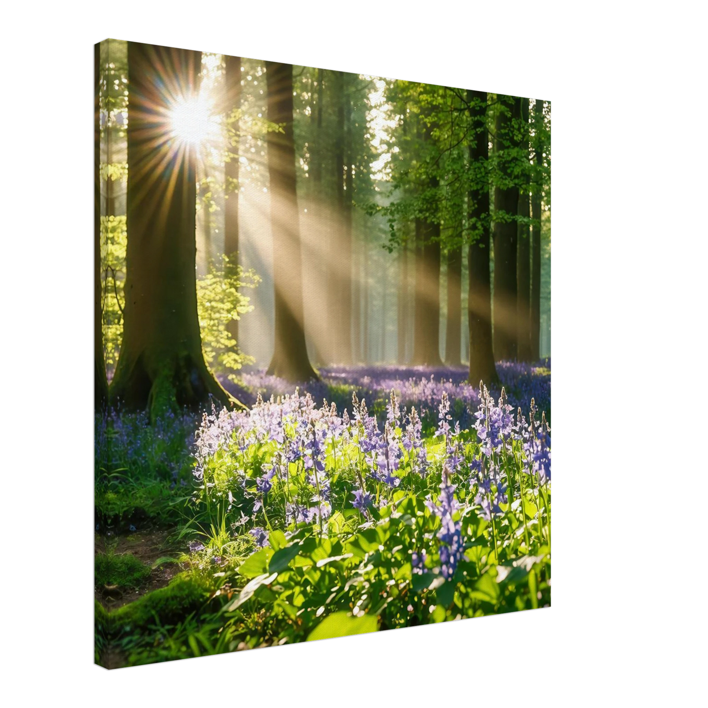 Wandbild mystischer morgenwald mit sonnenstrahlen und lila blueten in vielen groessen