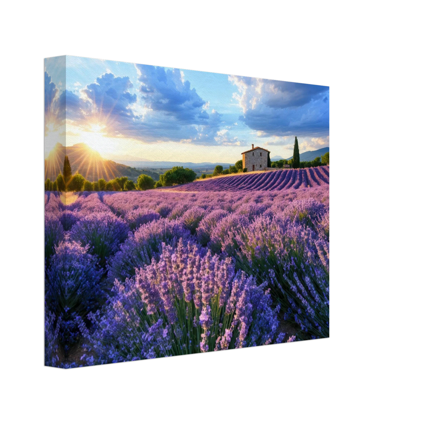 Wandbild sonnenuntergang ueber lavendelfeldern idyllische provence landschaft im wunschformat