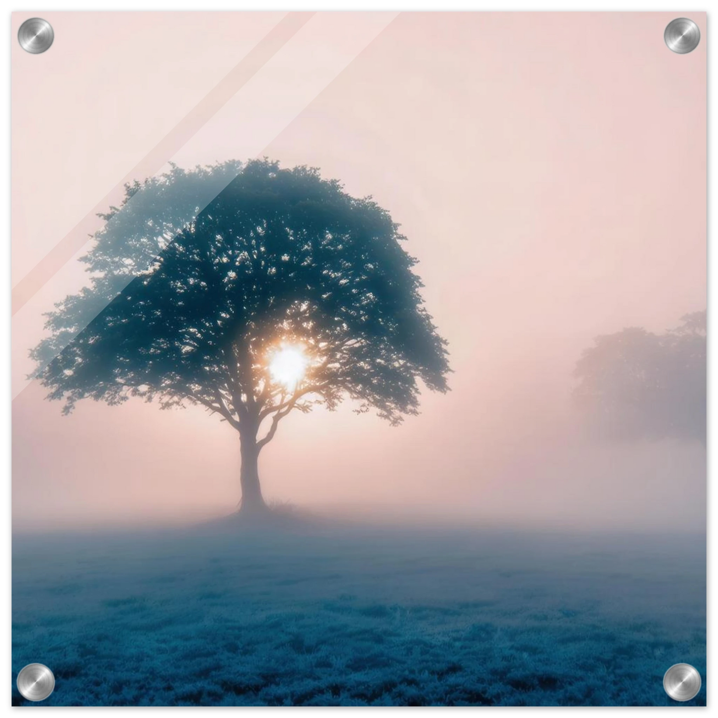 Wandbild mystischer morgendaemmerung baum traumhaftes landschaftsbild fuer ihre wohlfuehloase