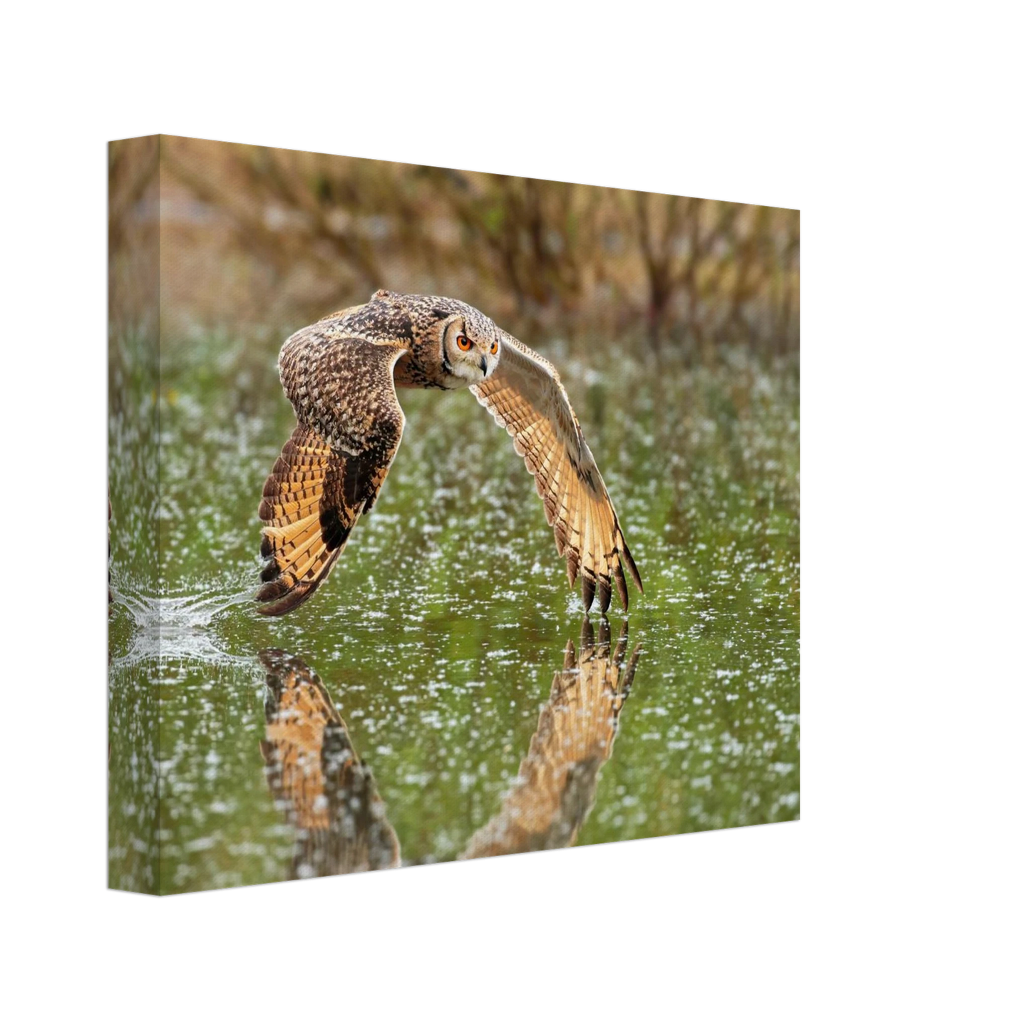 Wandbild majestaetische eule im flug naturfotografie mit lebendigen orangetoenen in ihrer wunschgroesse
