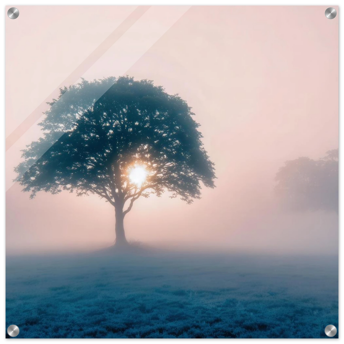 Wandbild mystischer morgendaemmerung baum traumhaftes landschaftsbild fuer ihre wohlfuehloase