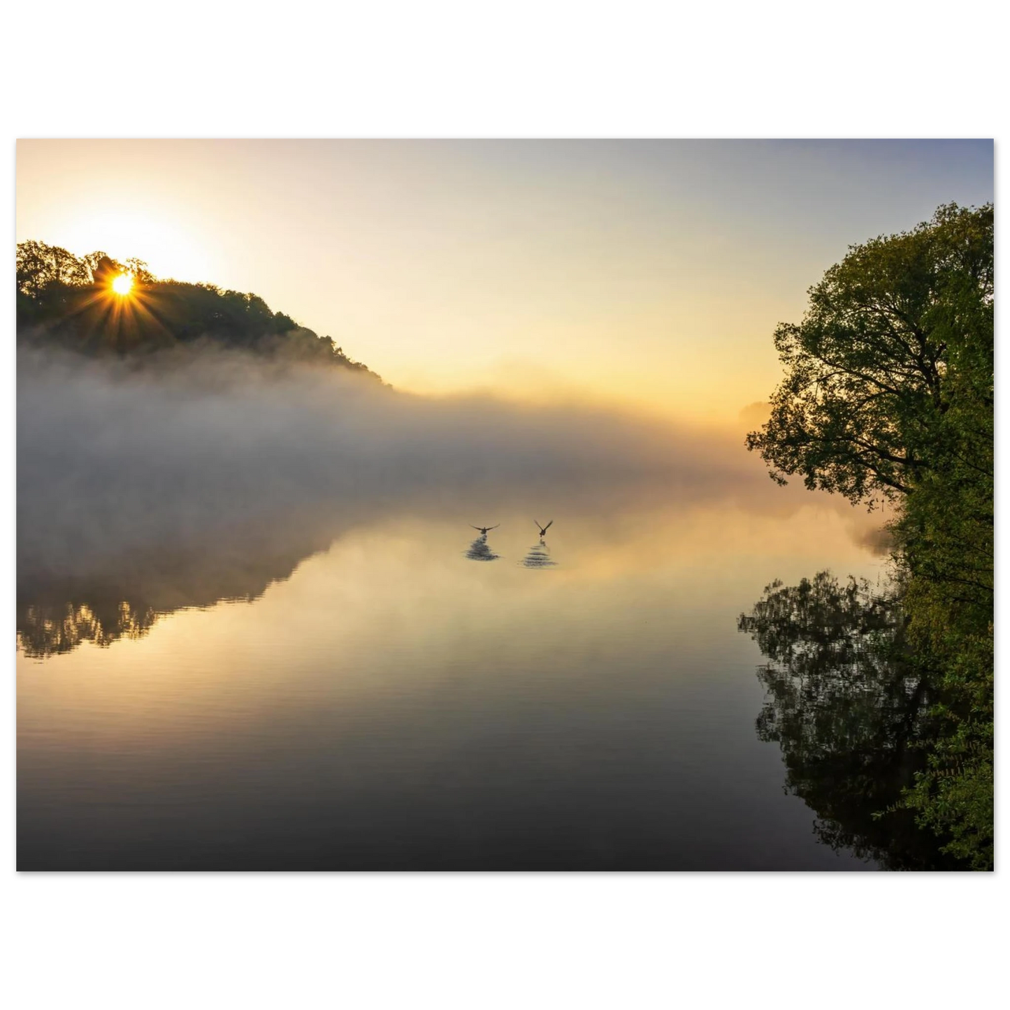 Wandbild mystischer sonnenaufgang ueber dem nebelmeer stille wasser voegel leinwandbild fuer ihr zuhause