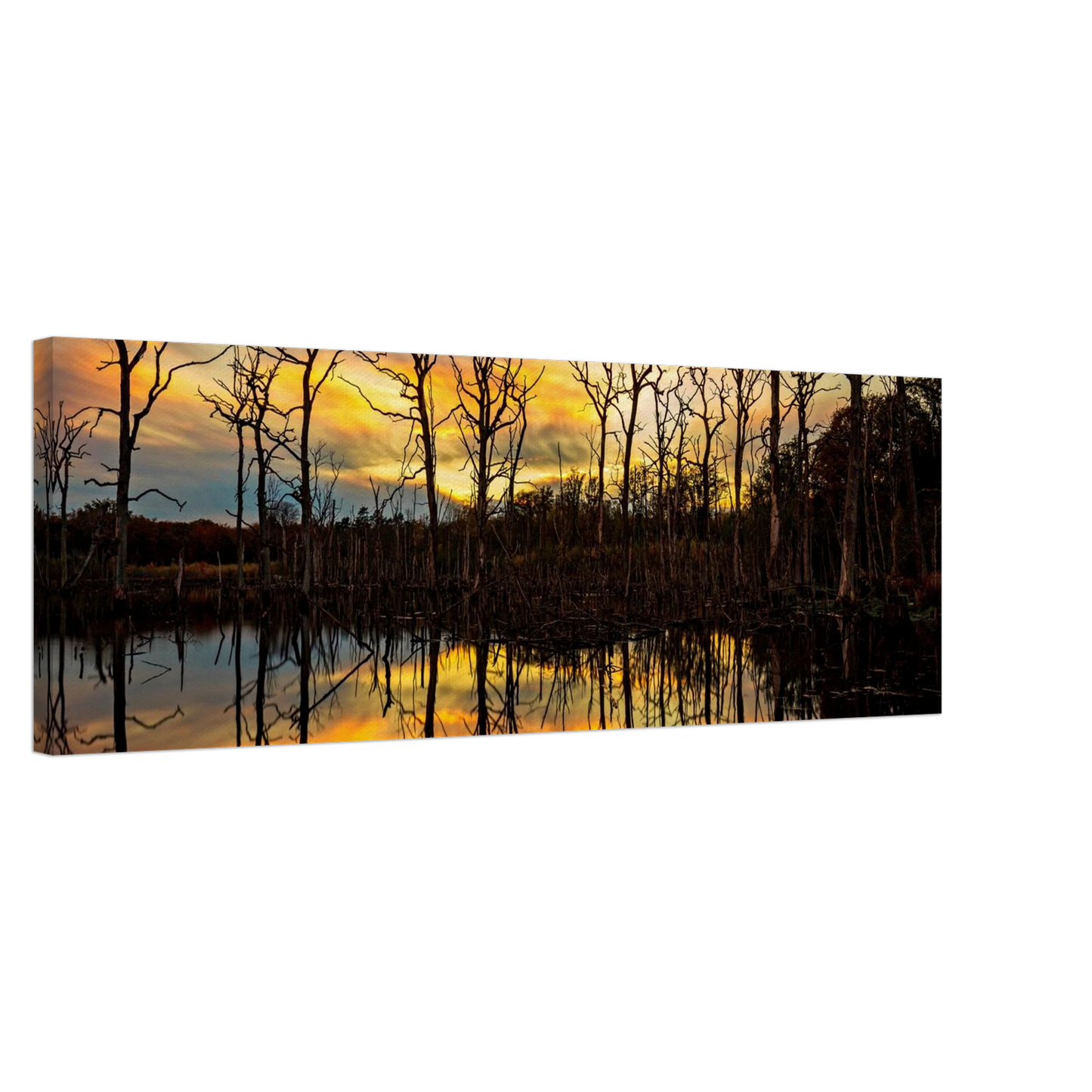 Wandbild mystischer sonnenuntergang ueber dem baumsee lebendige kunstdrucke in vielen groessen