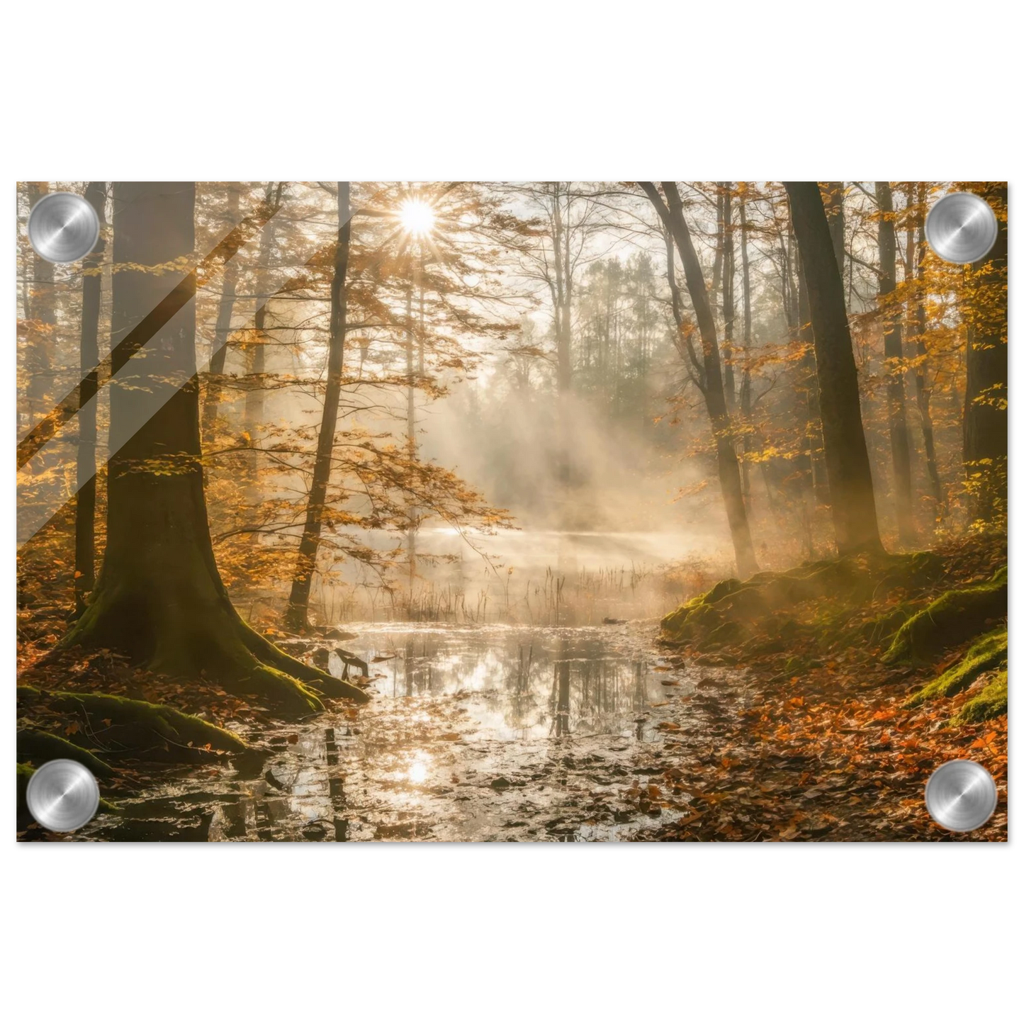 1771c736-b868-4729-8114-8d7cae5b6321