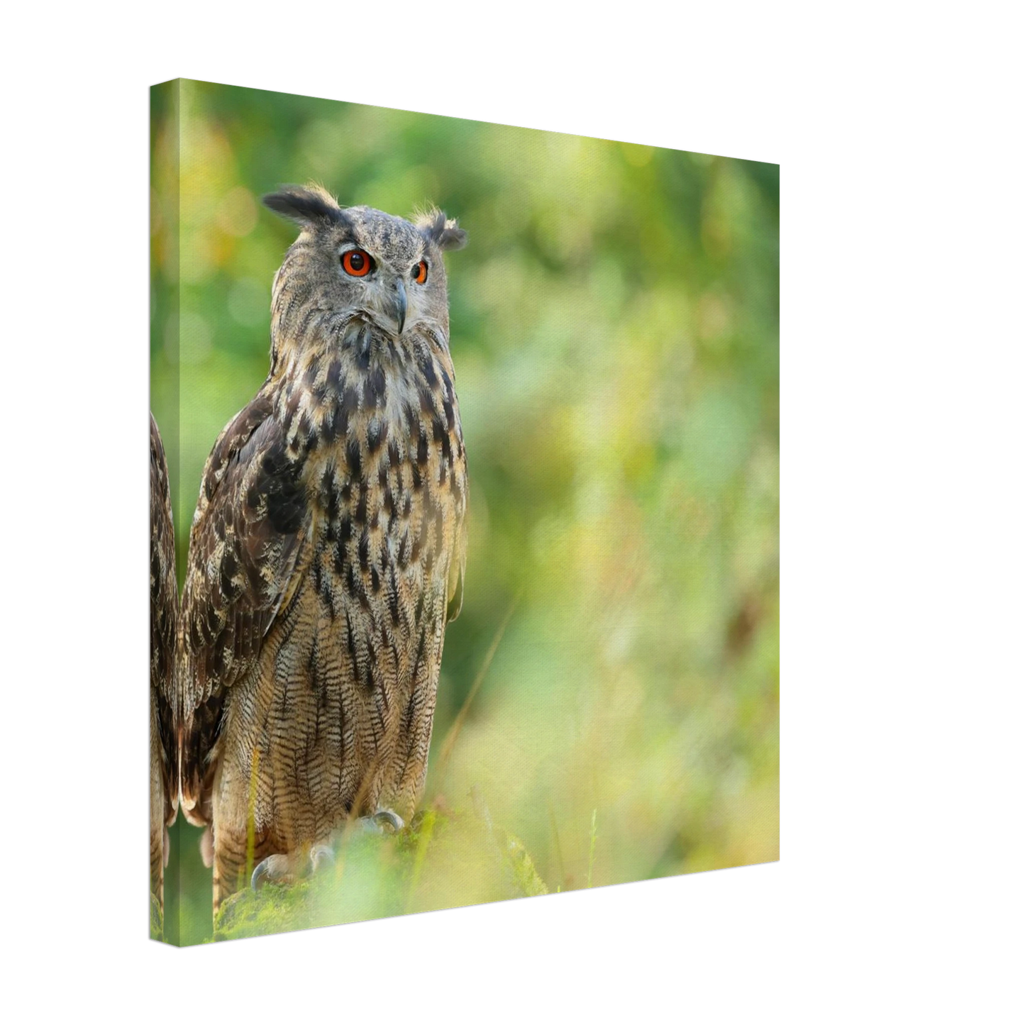 Wandbild mystische eule majestaetisches waldtier mit leuchtenden augen in ihrer wunschgroesse