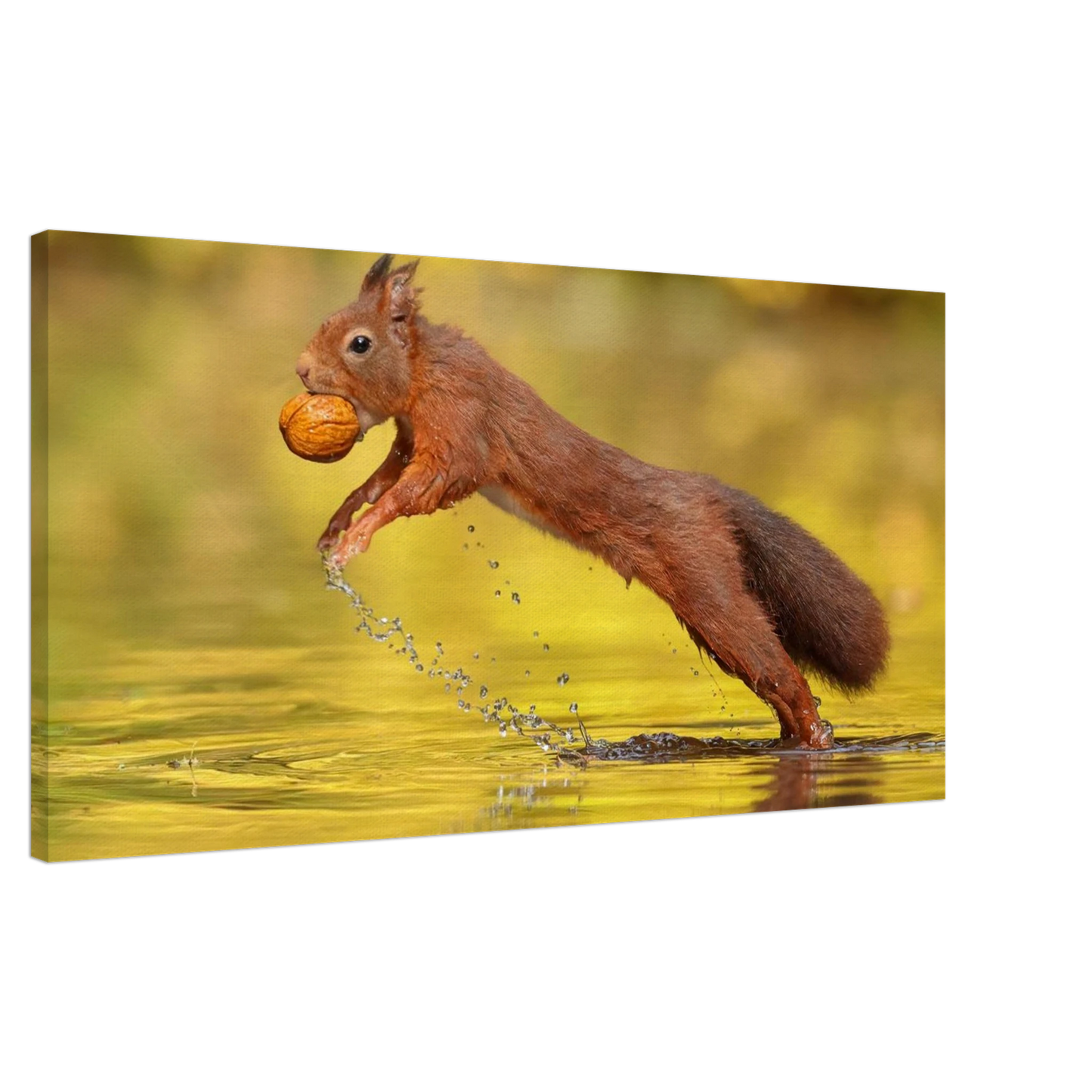Wandbild eichhoernchen dynamische eichhoernchen kunst in lebhaften herbsttoenen