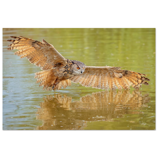 Wandbild majestaetischer uhu im jagdflug atemberaubende wildtierkunst in verschiedenen groessen