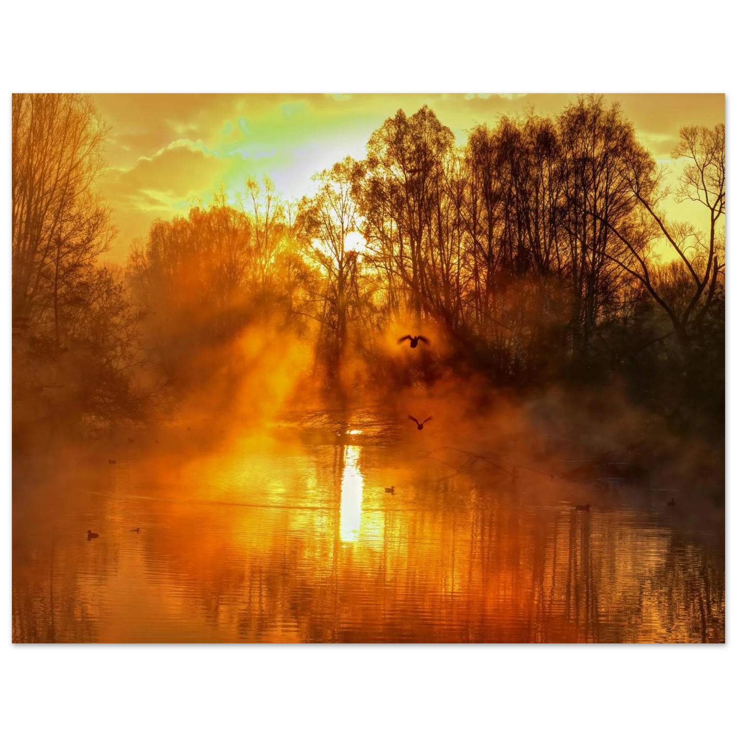 Wandbild Goldene morgenroete wandbild nebelwald poster in 25 groessenausfuehrungen