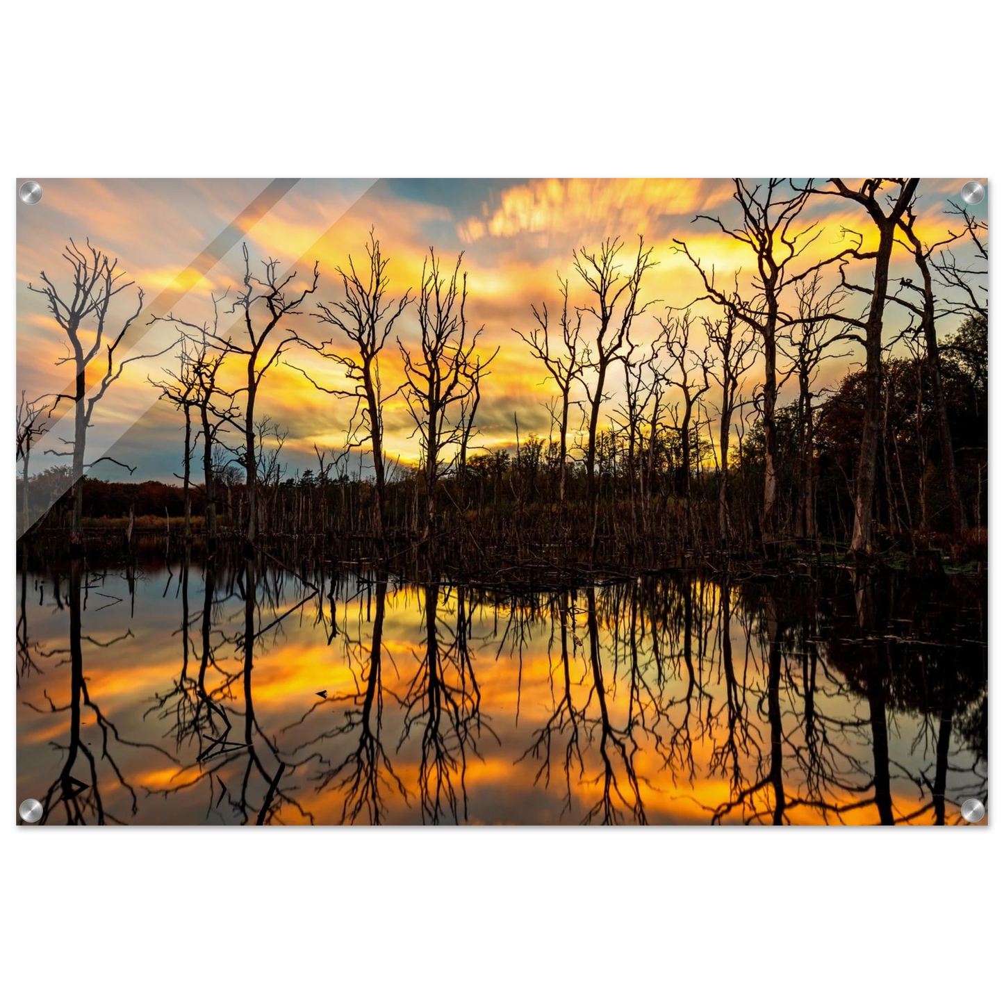Wandbild mystischer sonnenuntergang ueber dem baumsee lebendige kunstdrucke in vielen groessen