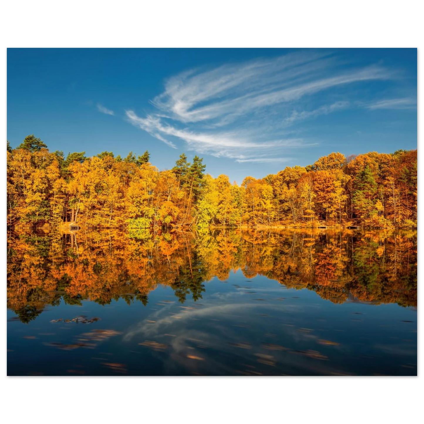 Wandbild herbstliche see symphonie atemberaubende waldspiegelung an einem sonnigen herbsttag