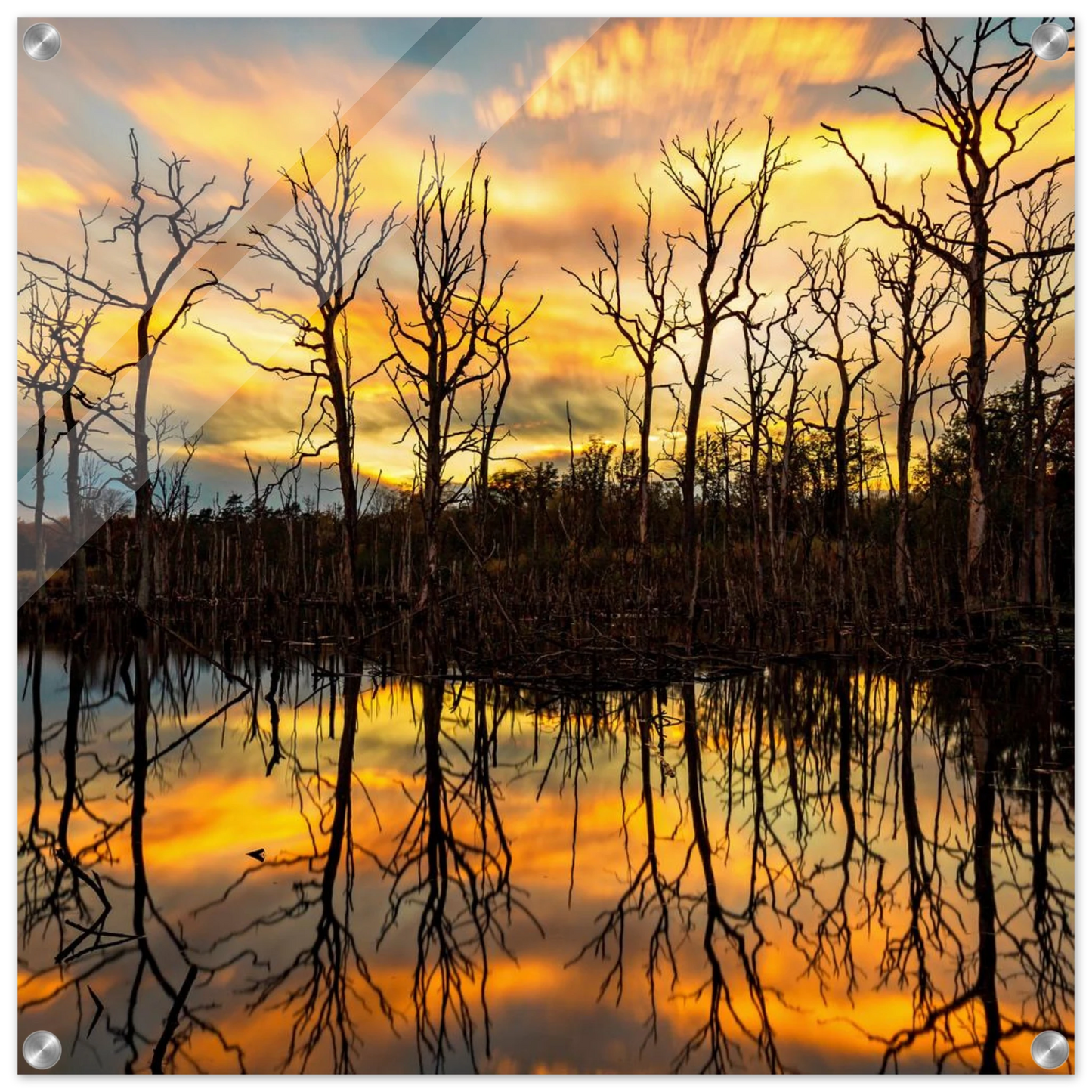 Wandbild mystischer sonnenuntergang ueber dem baumsee lebendige kunstdrucke in vielen groessen