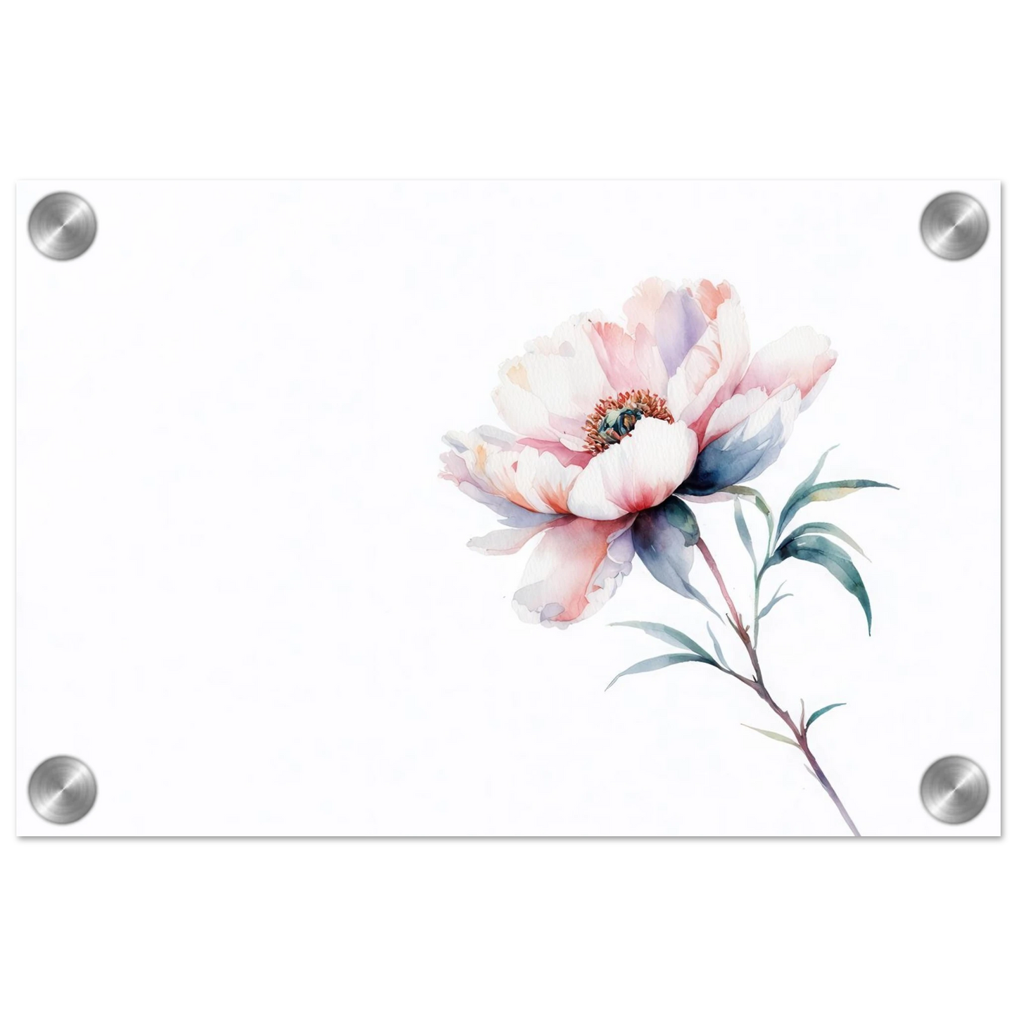 Wandbild zarte pfingstrose elegante aquarell kunst fuer ihr zuhause in wunschgroesse