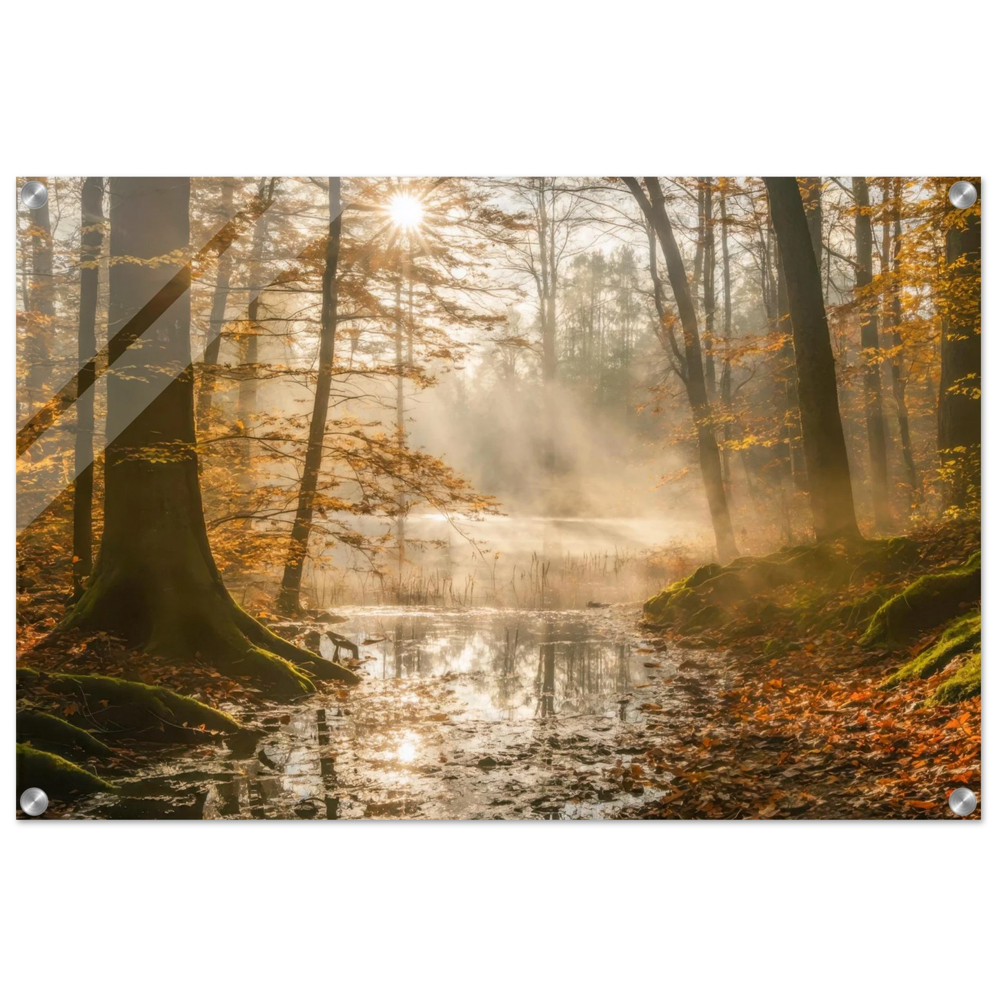 1ccbd6ca-7885-4e62-998c-0648f73e35a7