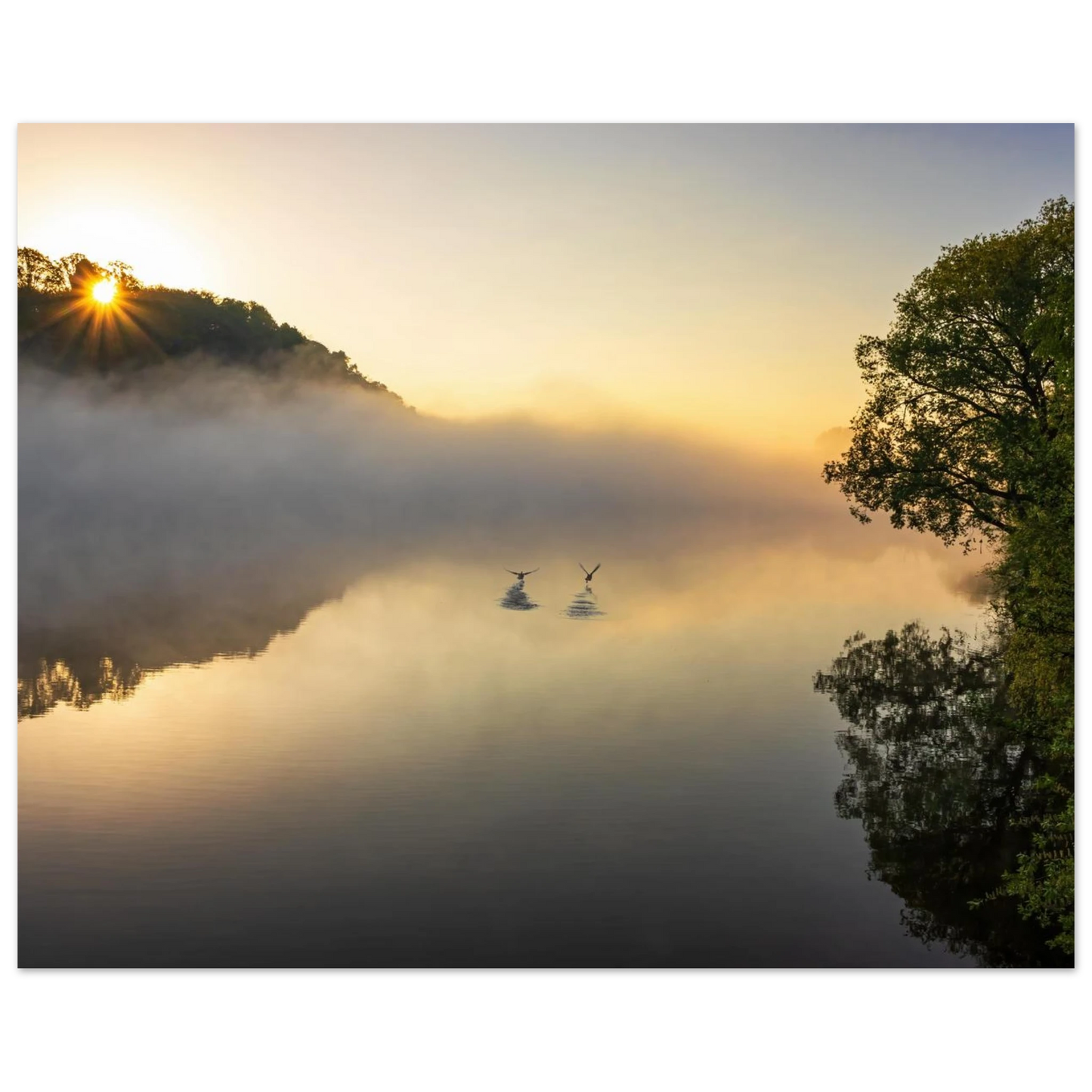 Wandbild mystischer sonnenaufgang ueber dem nebelmeer stille wasser voegel leinwandbild fuer ihr zuhause