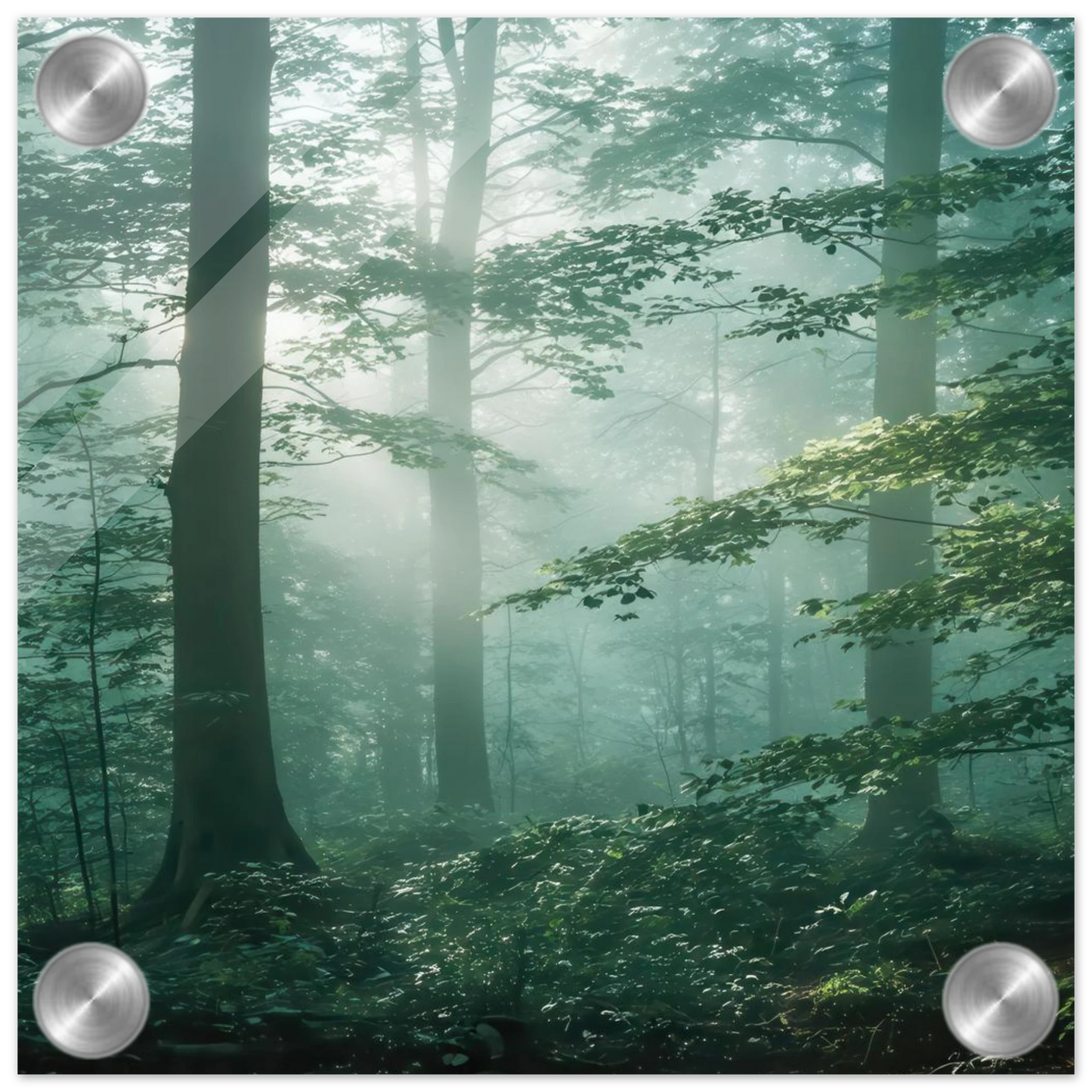 Wandbild mystischer smaragd wald mit sonnenstrahlen beruhigende nebelwald kunst in ihrer wunschgroesse