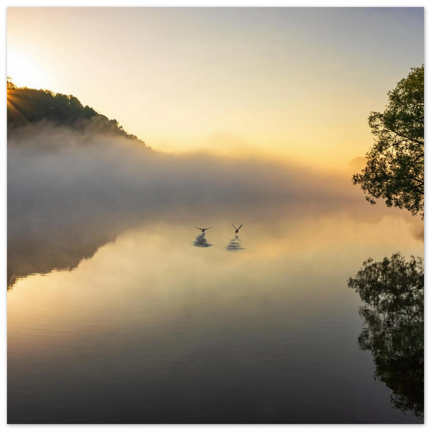 Wandbild mystischer sonnenaufgang ueber dem nebelmeer stille wasser voegel leinwandbild fuer ihr zuhause