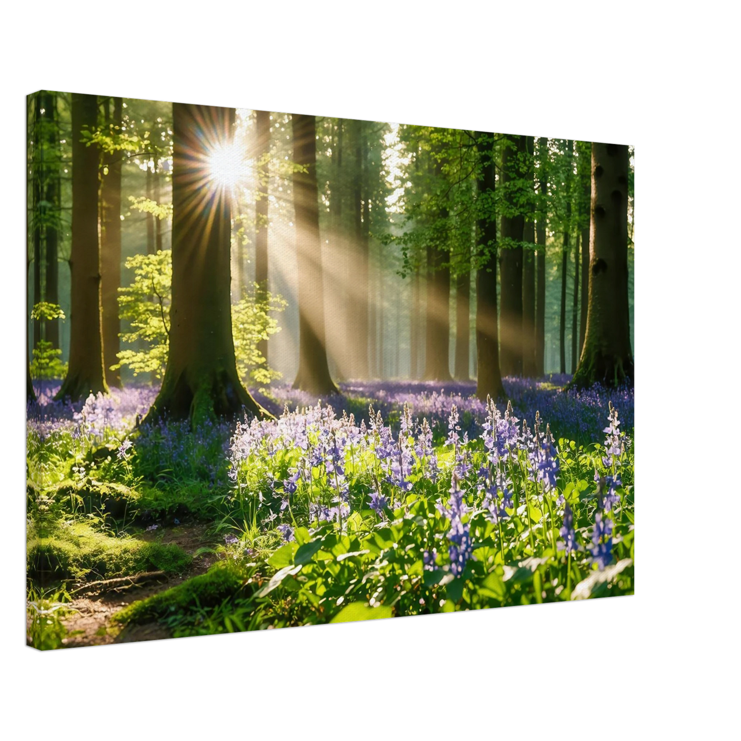 Wandbild mystischer morgenwald mit sonnenstrahlen und lila blueten in vielen groessen