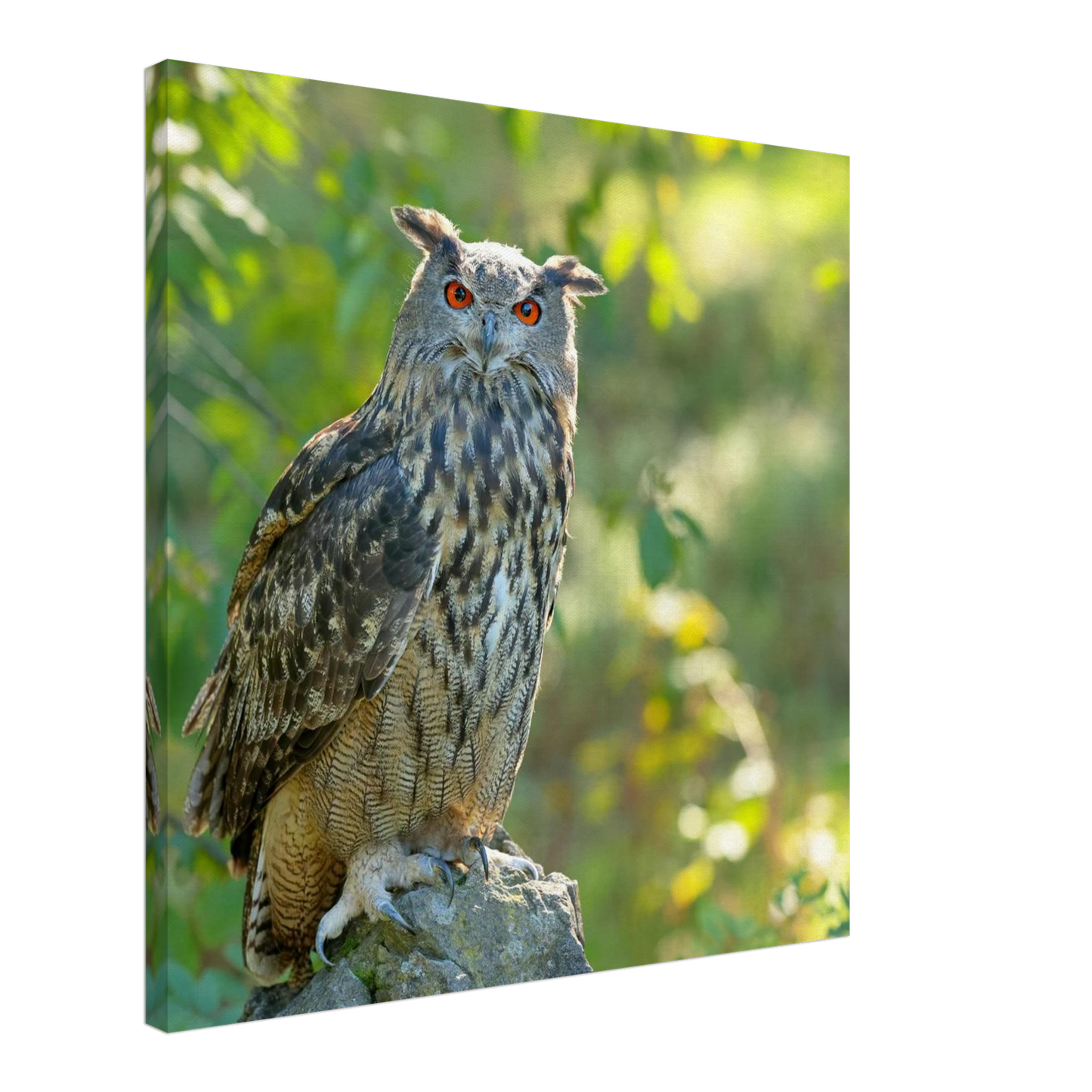 Wandbild mystische eule mit leuchtenden augen faszinierende wildtier kunst fuer ihr zuhause