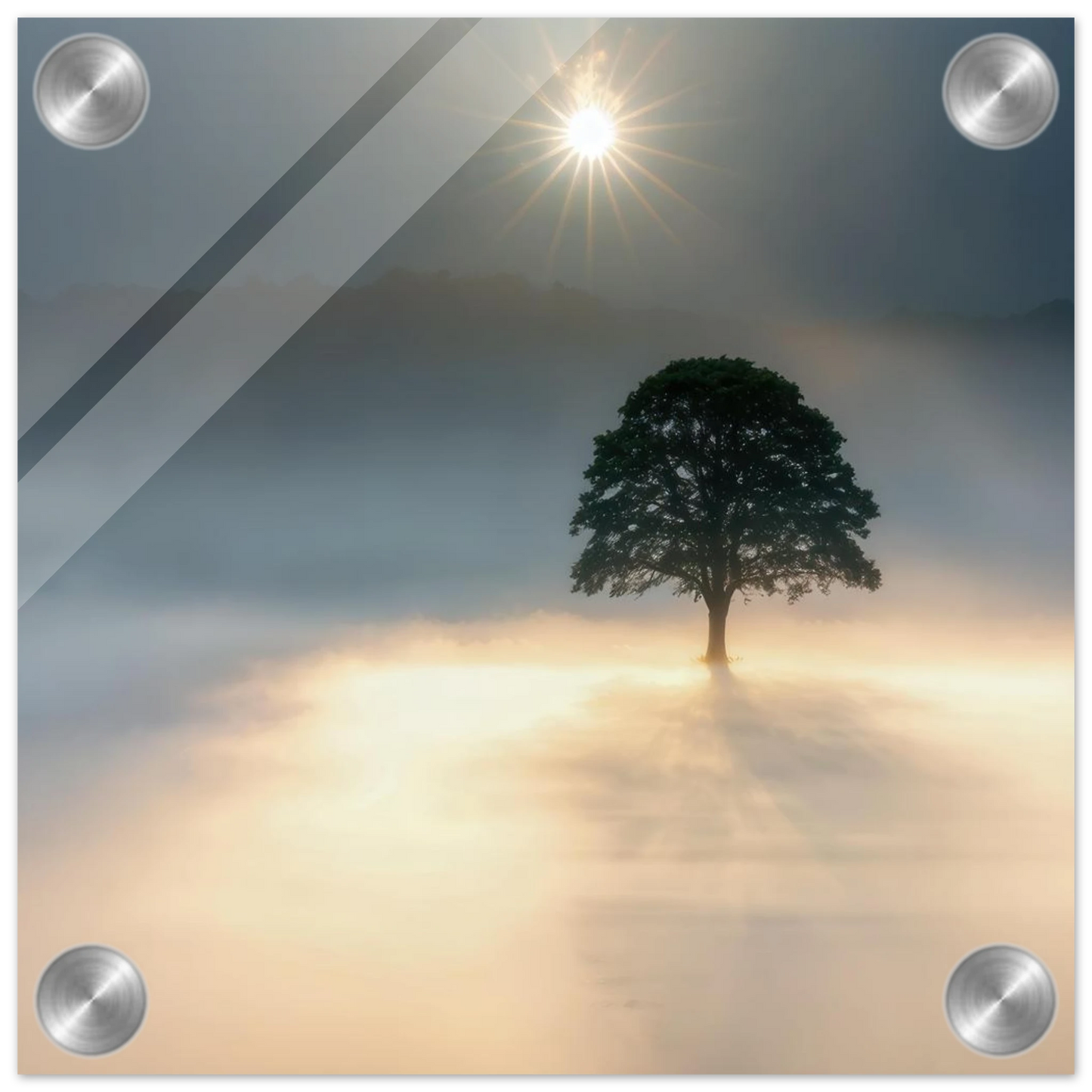 Wandbild mystisches baum wandbild einzelner baum im nebel sonnenaufgang waehlbar in verschiedenen groessen