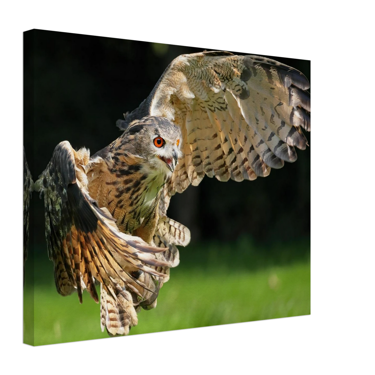 Wandbild majestaetische eule im flug ausdrucksstarke wandkunst fuer ihr zuhause