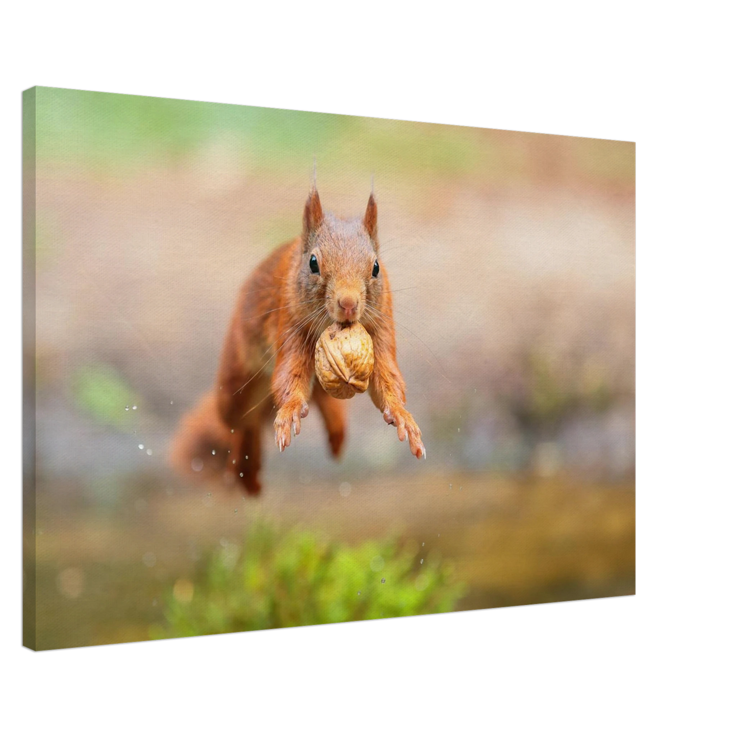 Wandbild eichhoernchens freudensprung dynamische tierkunst in leuchtenden farben