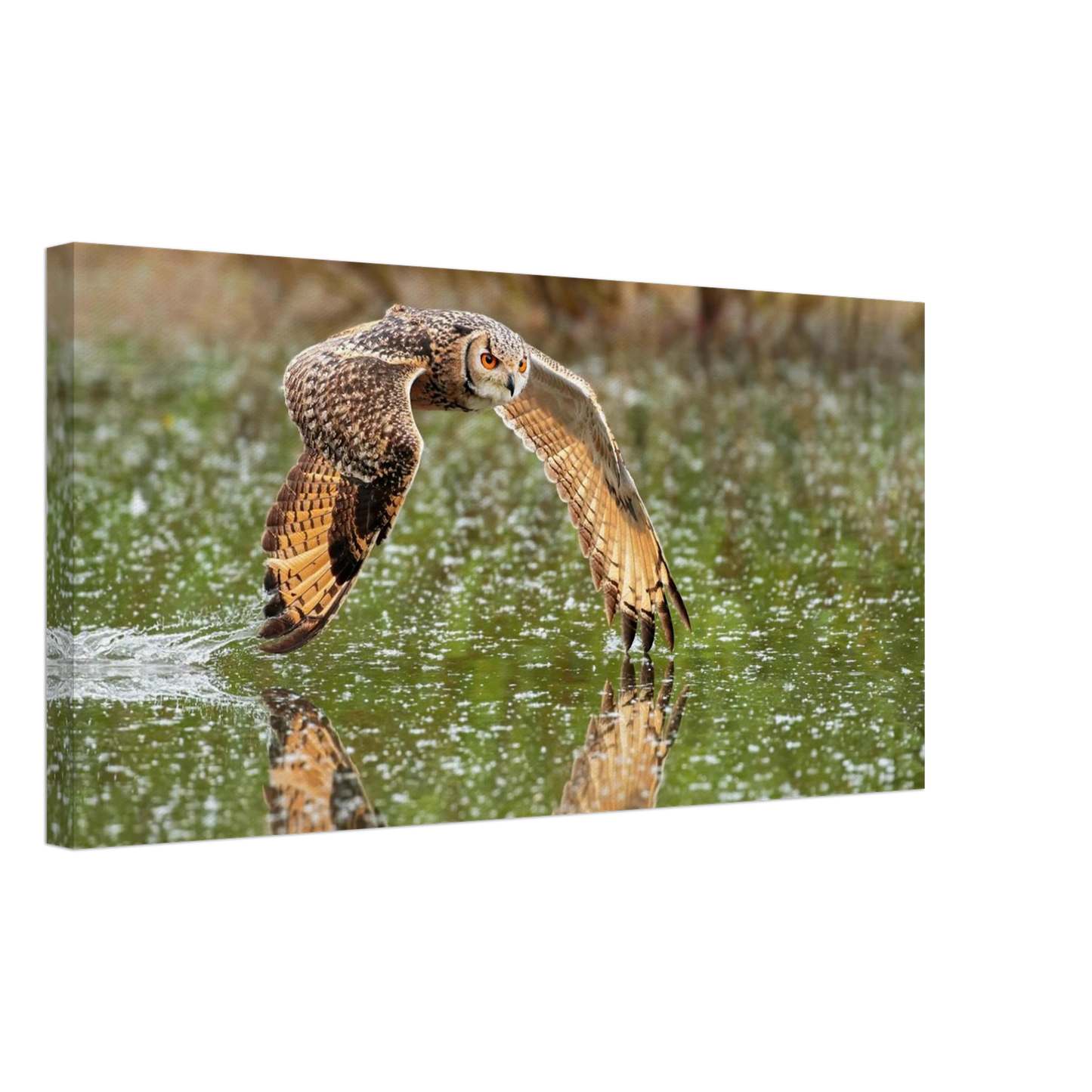 Wandbild majestaetische eule im flug naturfotografie mit lebendigen orangetoenen in ihrer wunschgroesse