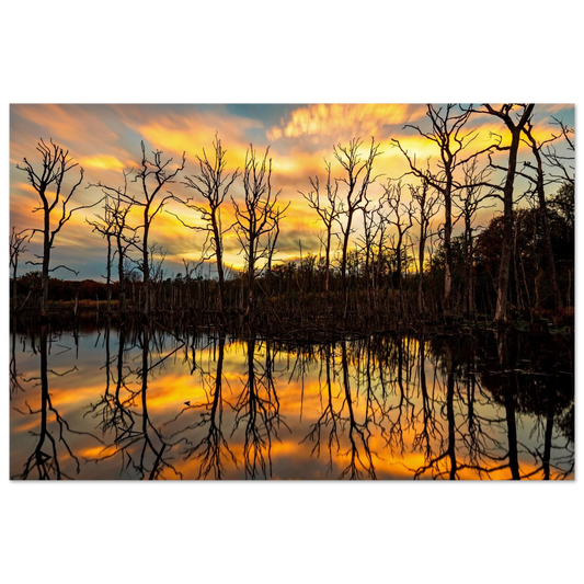 Wandbild mystischer sonnenuntergang ueber dem baumsee lebendige kunstdrucke in vielen groessen