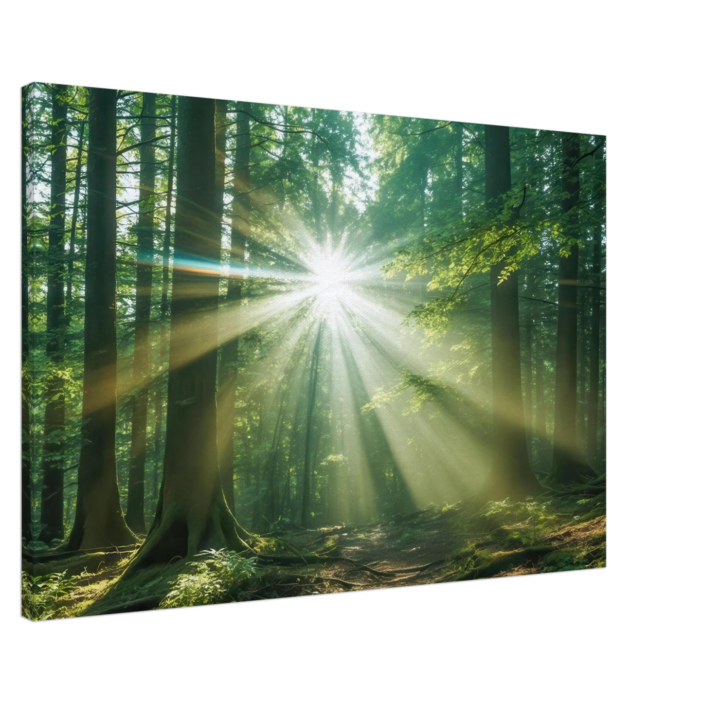 Wandbild sonnenstrahlen im wald mystisches waldlicht kunstdruck in ihrer wunschgroesse