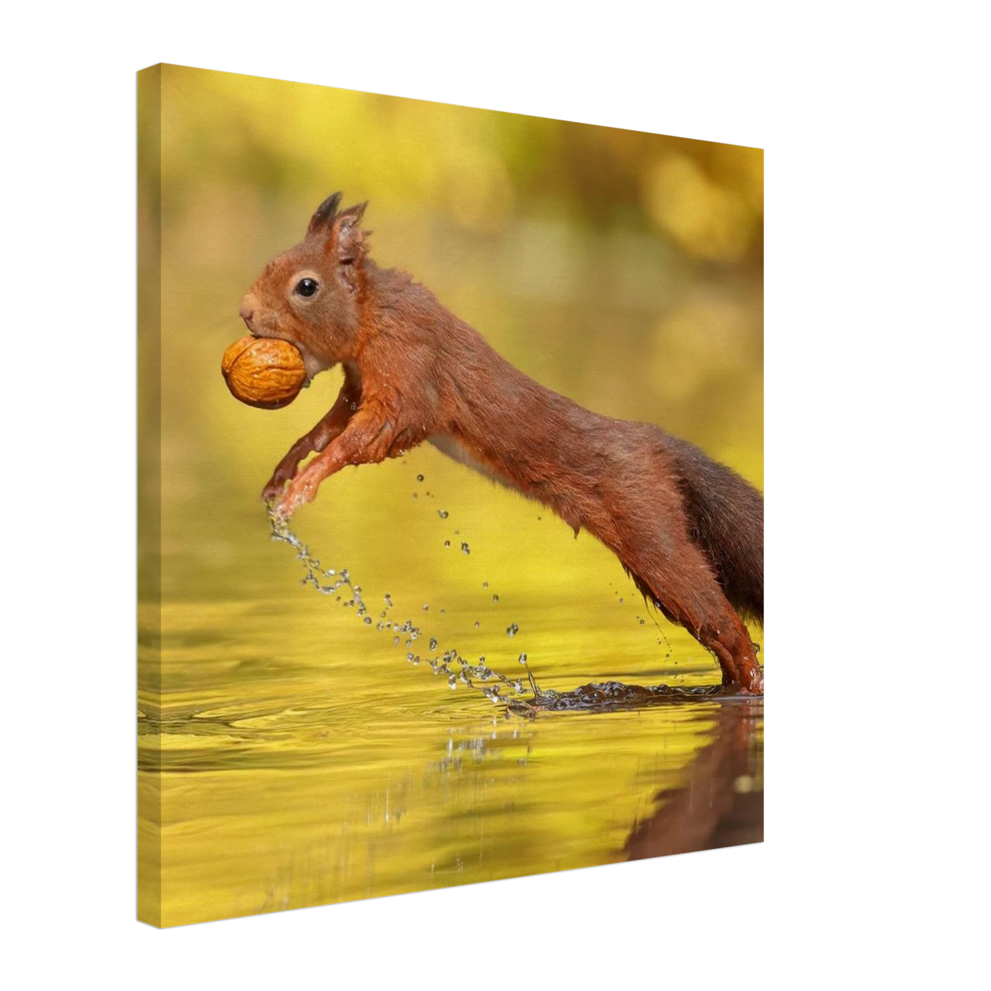Wandbild eichhoernchen dynamische eichhoernchen kunst in lebhaften herbsttoenen