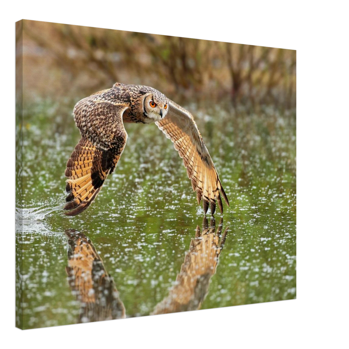 Wandbild majestaetische eule im flug naturfotografie mit lebendigen orangetoenen in ihrer wunschgroesse