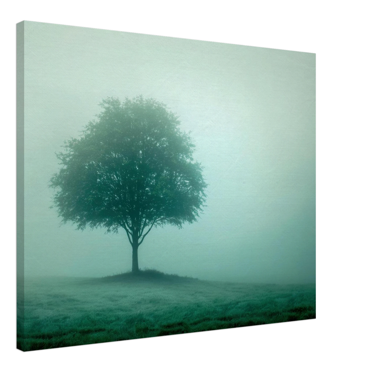 Wandbild mystischer baum im nebel ruhe und gruentoene fuer dein zuhause