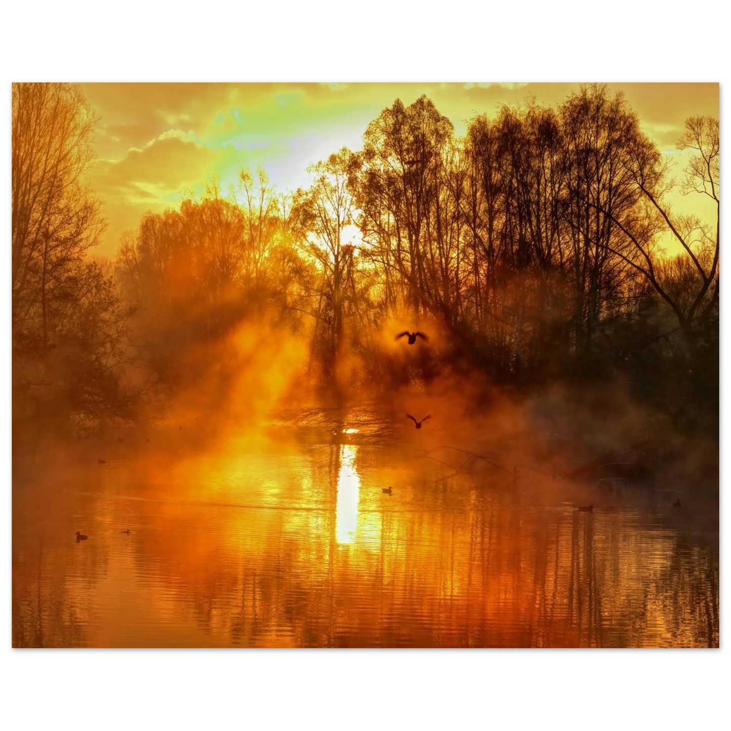 Wandbild Goldene morgenroete wandbild nebelwald poster in 25 groessenausfuehrungen