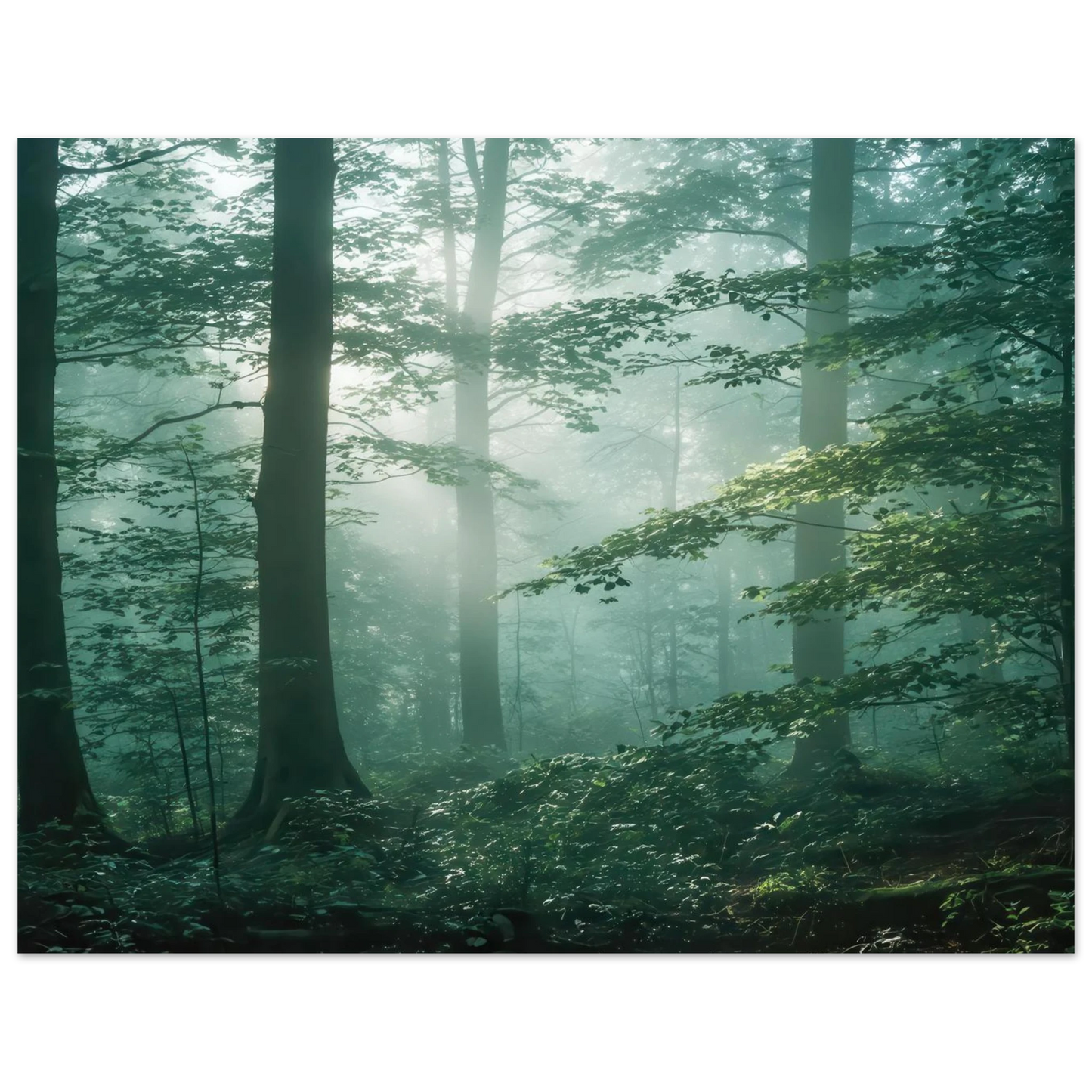 Wandbild mystischer smaragd wald mit sonnenstrahlen beruhigende nebelwald kunst in ihrer wunschgroesse