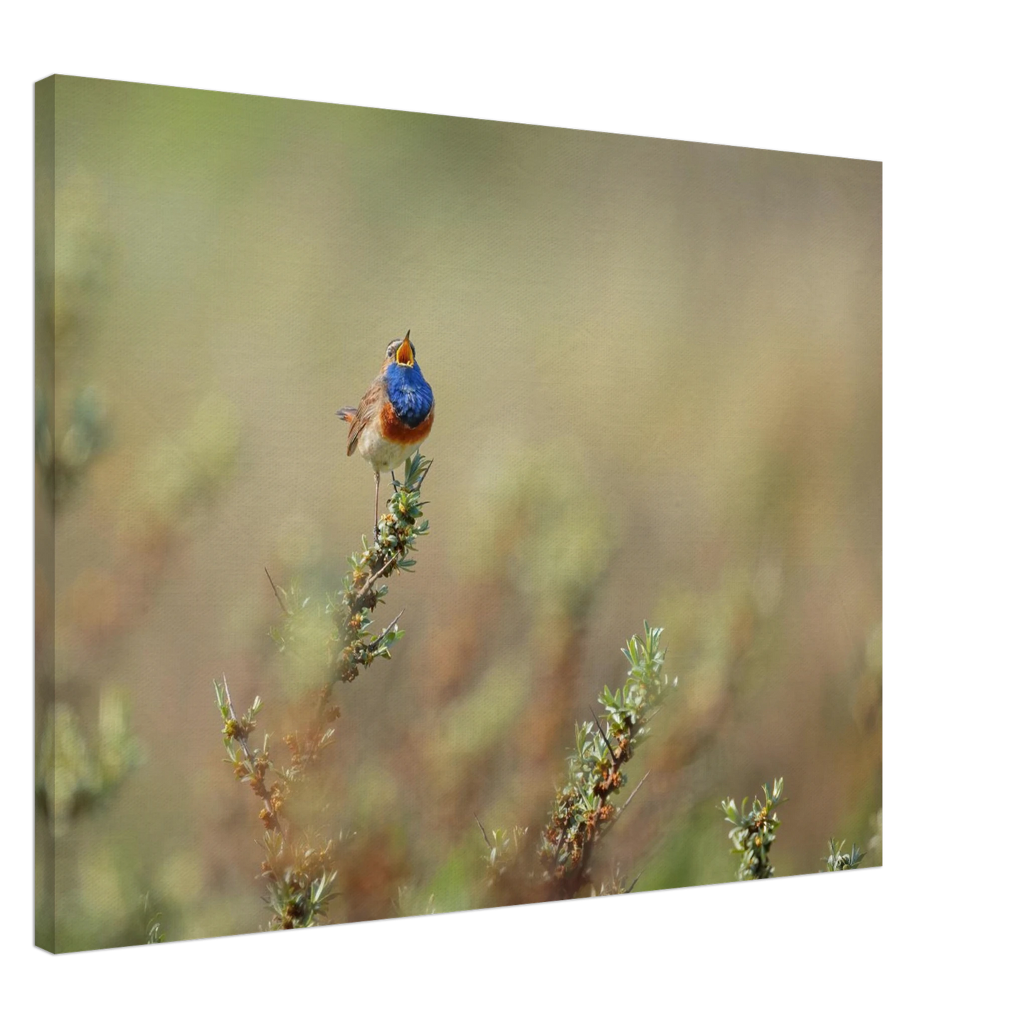 Wandbild lebendige nachtigall ein meisterwerk der naturfotografie fuer ihr zuhause