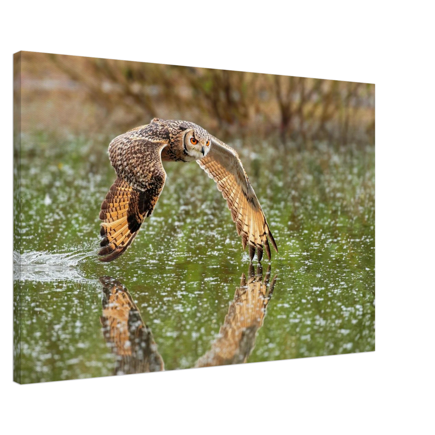 Wandbild majestaetische eule im flug naturfotografie mit lebendigen orangetoenen in ihrer wunschgroesse