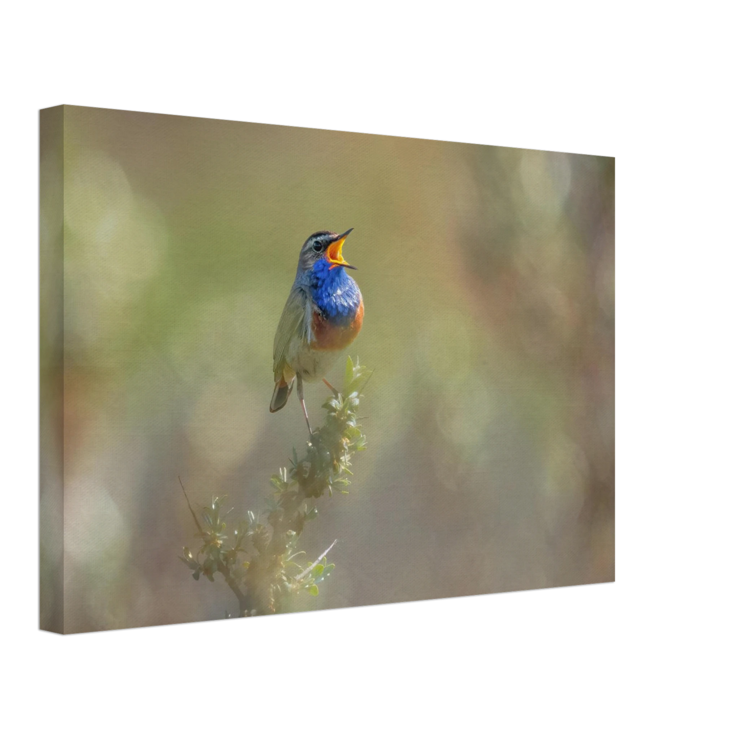 Wandbild singvogel in blautoenen lebendige vogelkunst fuer ihr zuhause in ihrer wunschgroesse