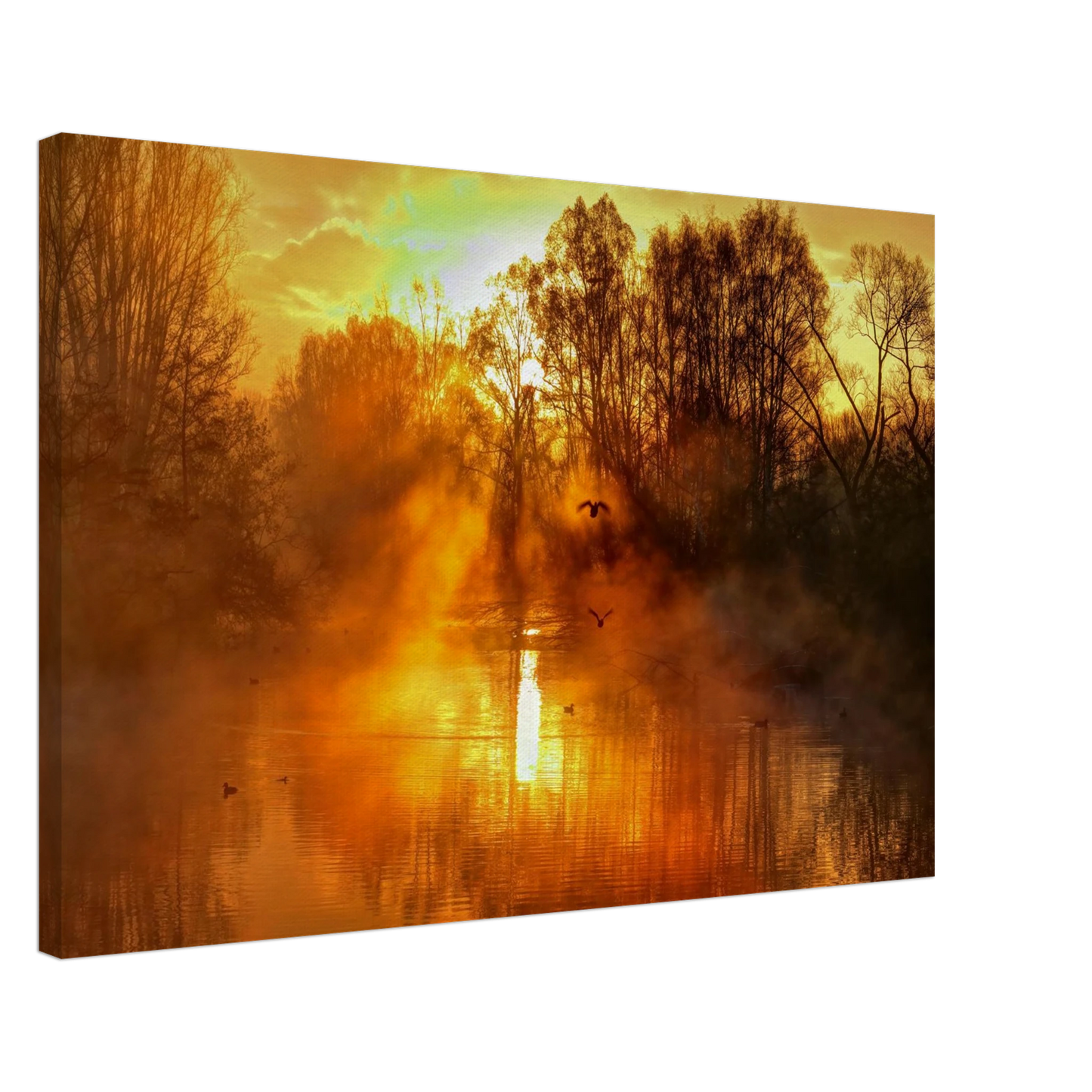 Wandbild Goldene morgenroete wandbild nebelwald poster in 25 groessenausfuehrungen