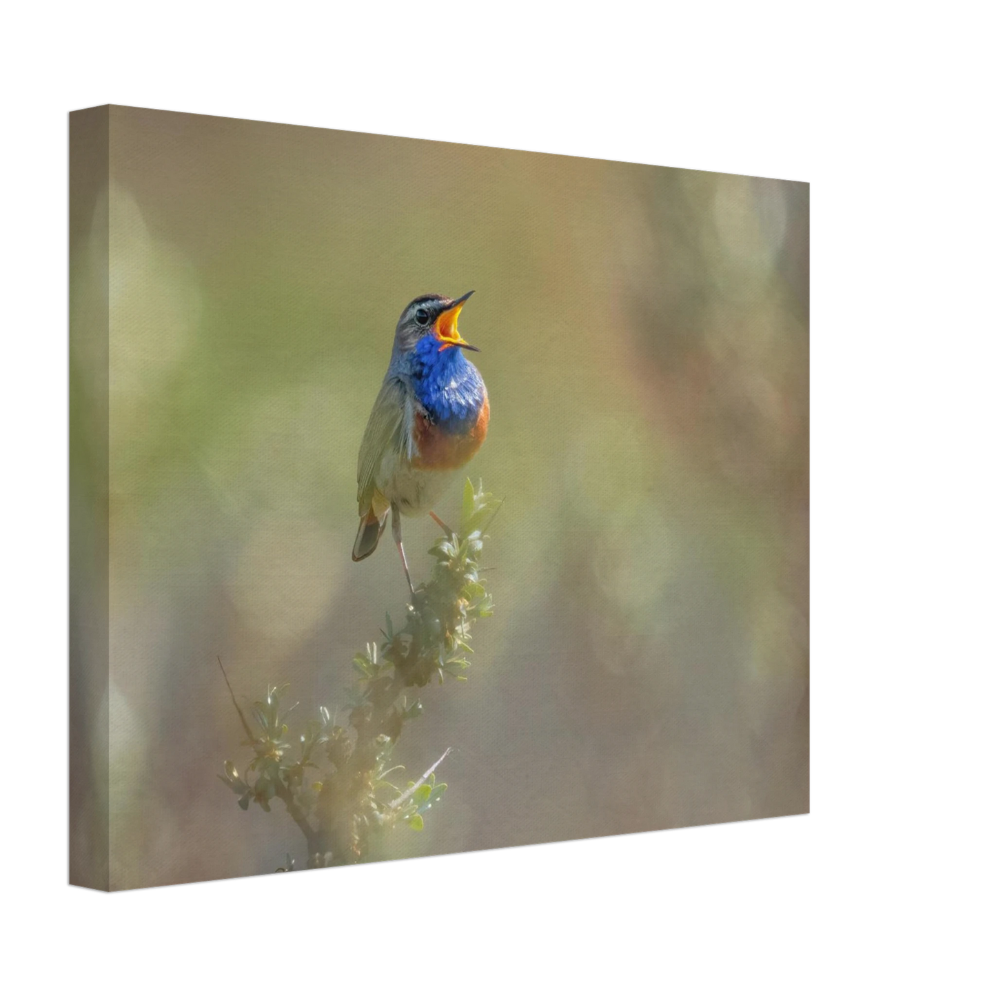 Wandbild singvogel in blautoenen lebendige vogelkunst fuer ihr zuhause in ihrer wunschgroesse