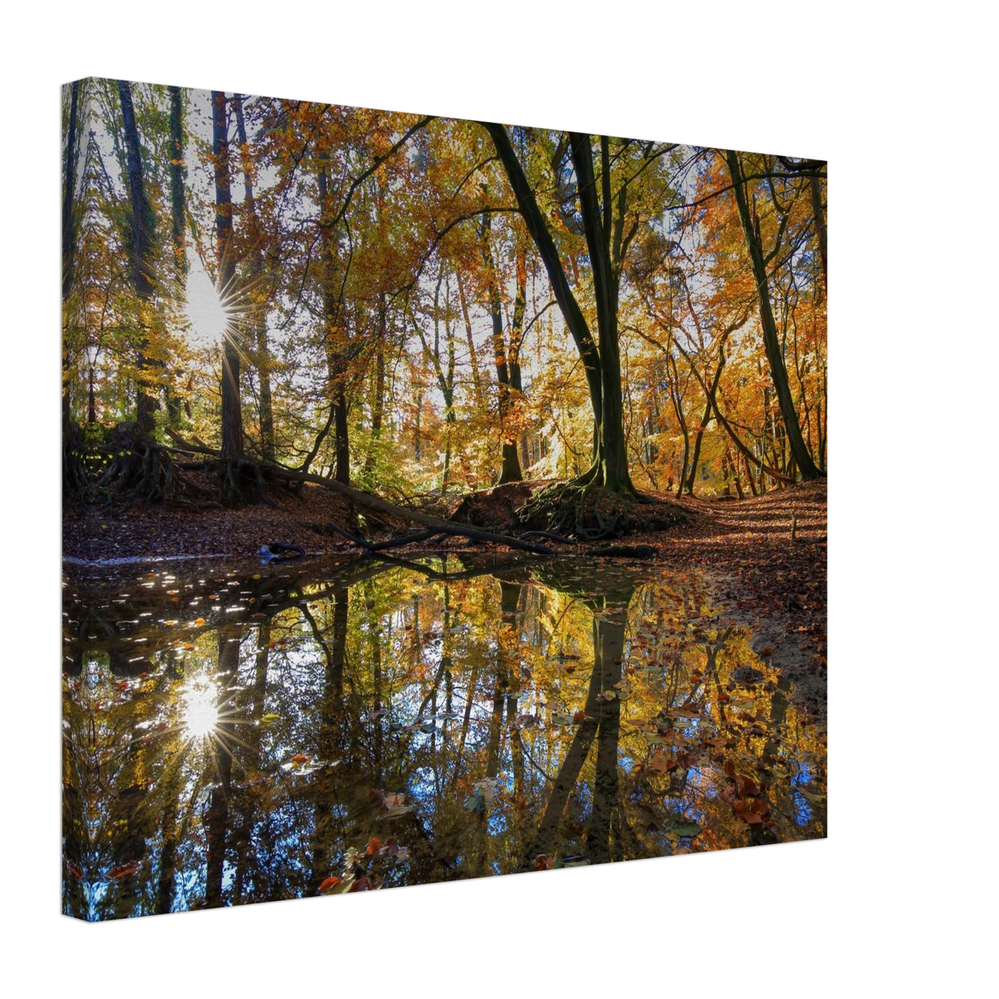 Wandbild goldener herbstwald stimmungsvolle spiegelung der natur in ihrer wunschgroesse