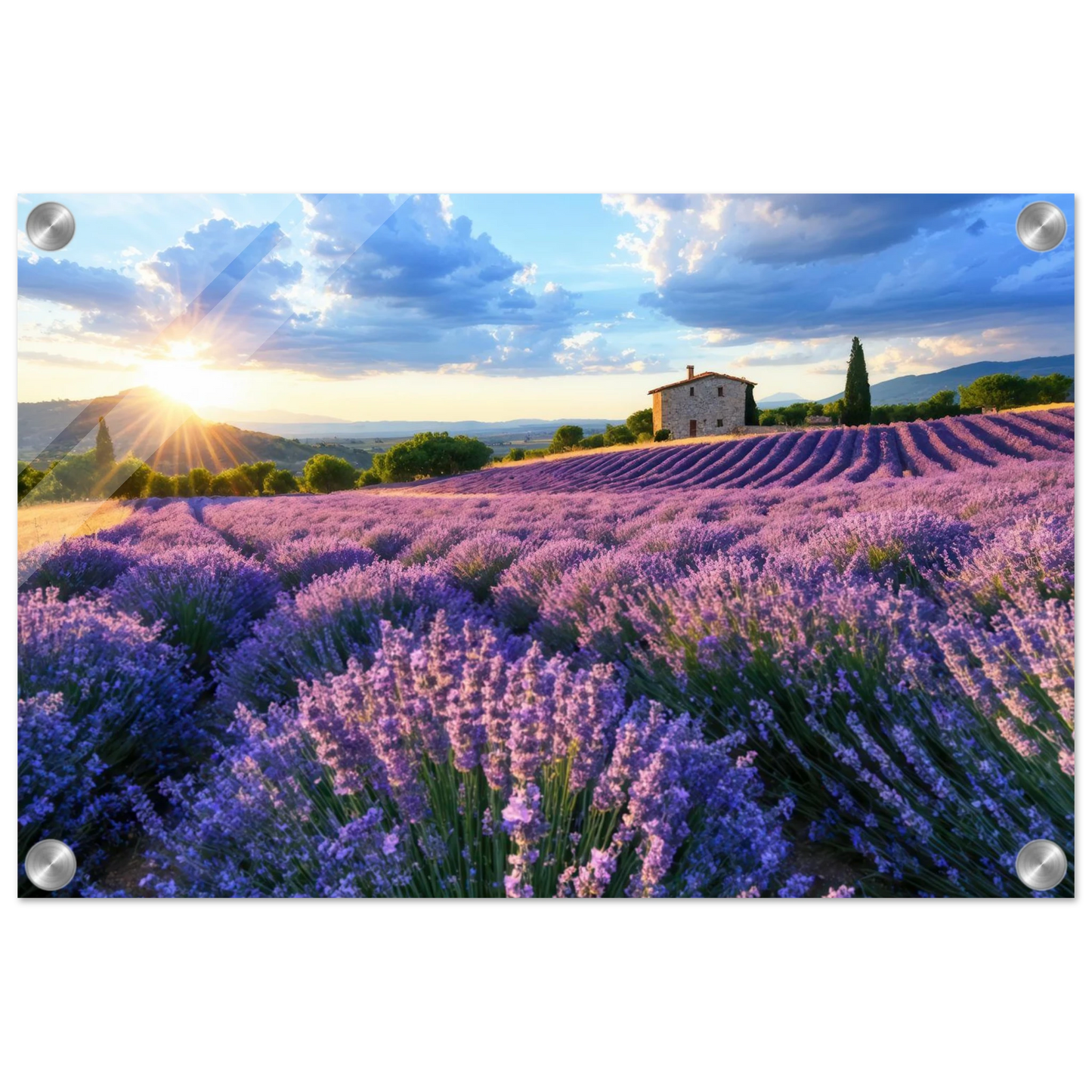 Wandbild sonnenuntergang ueber lavendelfeldern idyllische provence landschaft im wunschformat