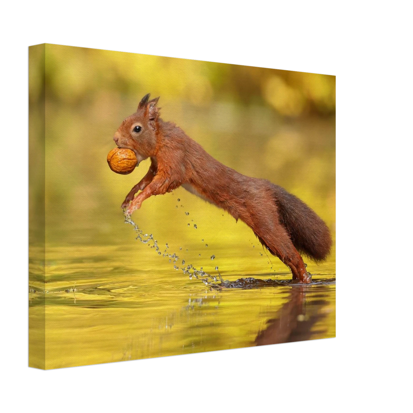 Wandbild eichhoernchen dynamische eichhoernchen kunst in lebhaften herbsttoenen