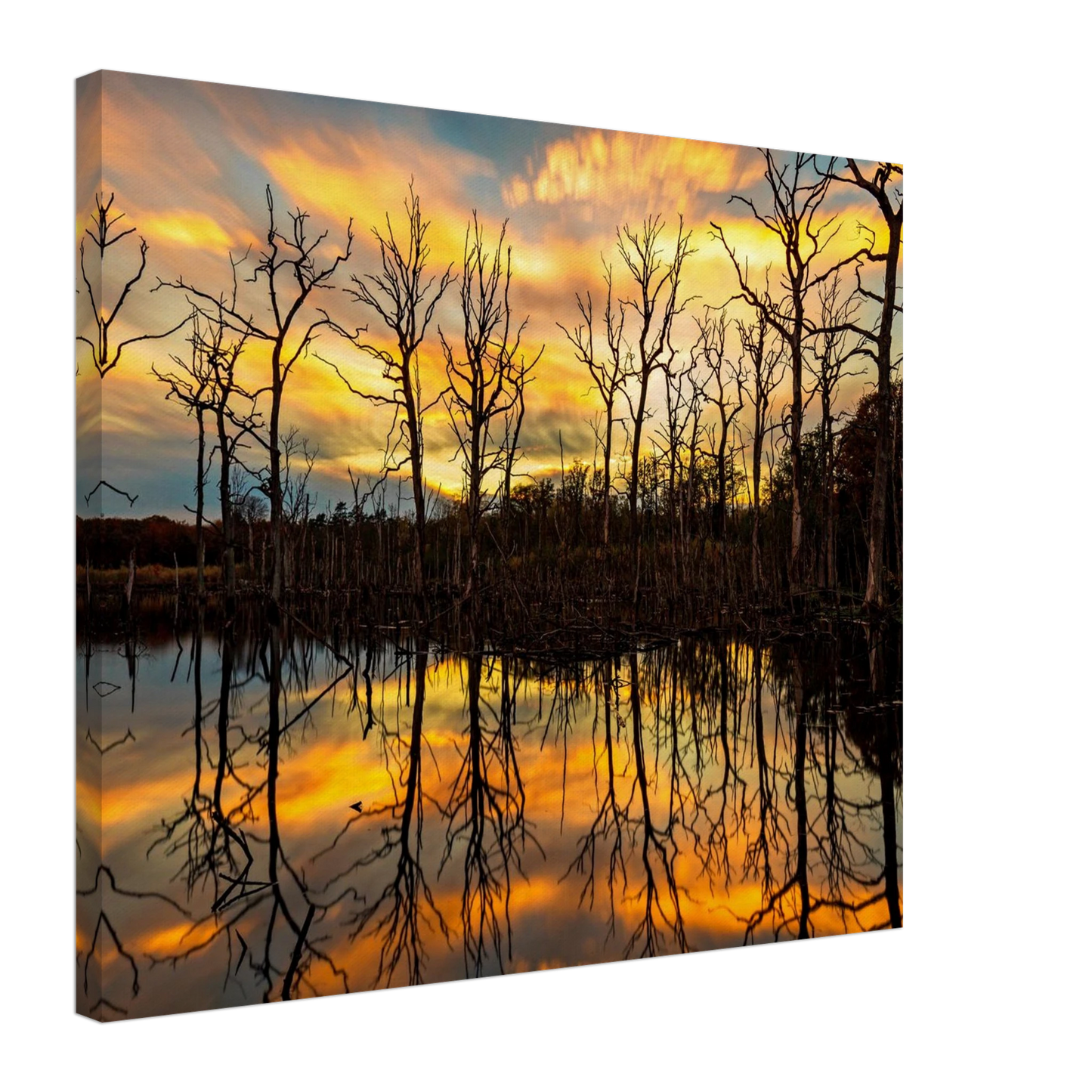 Wandbild mystischer sonnenuntergang ueber dem baumsee lebendige kunstdrucke in vielen groessen