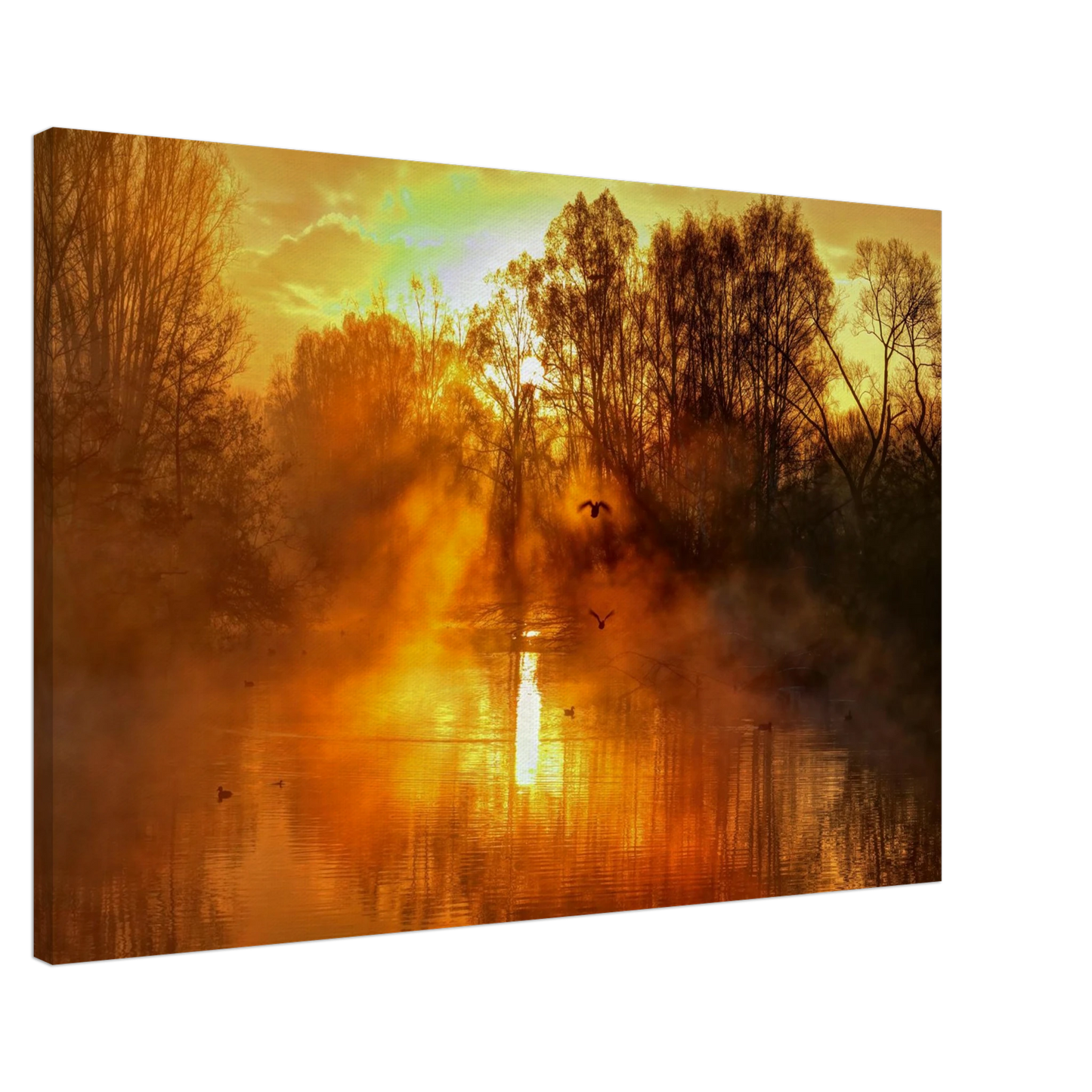 Wandbild Goldene morgenroete wandbild nebelwald poster in 25 groessenausfuehrungen